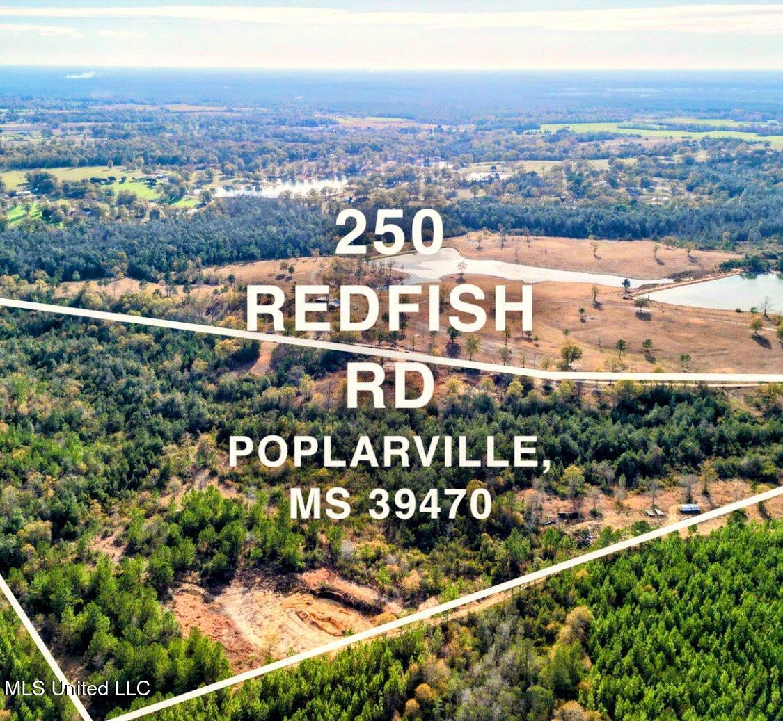 250 Redfish Rd Road, Poplarville, Mississippi image 8