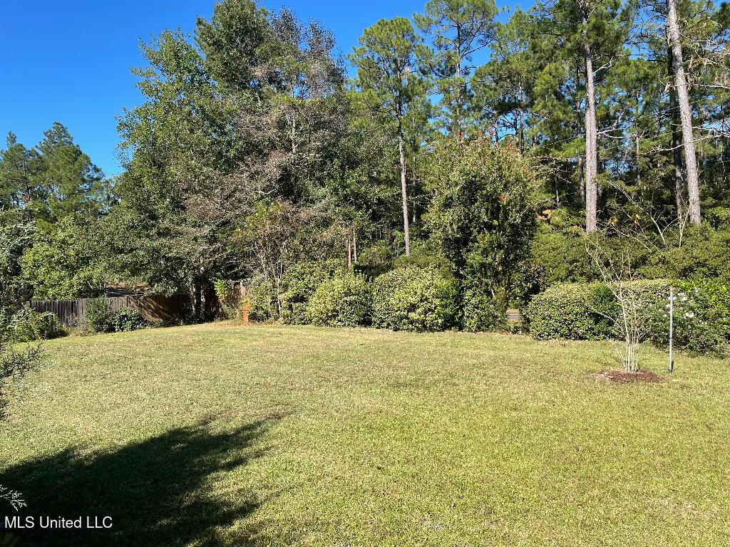 17105 W Spring Lake Drive, Vancleave, Mississippi image 6