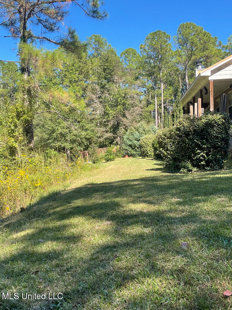 17105 W Spring Lake Drive, Vancleave, Mississippi image 4