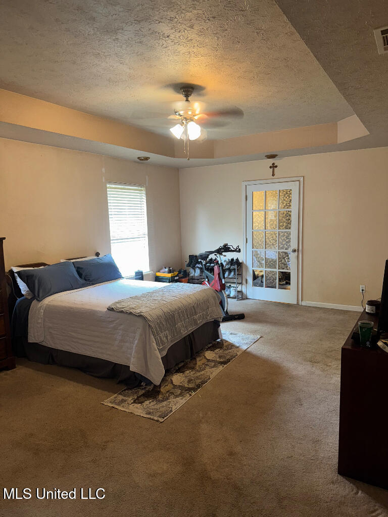17105 W Spring Lake Drive, Vancleave, Mississippi image 19