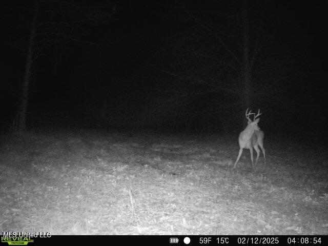 Co Rd 2414, Rose Hill, Mississippi image 17