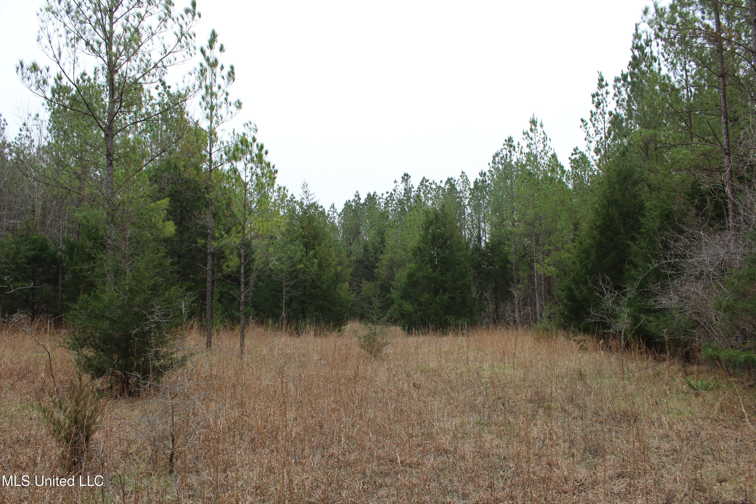 Co Rd 2414, Rose Hill, Mississippi image 27