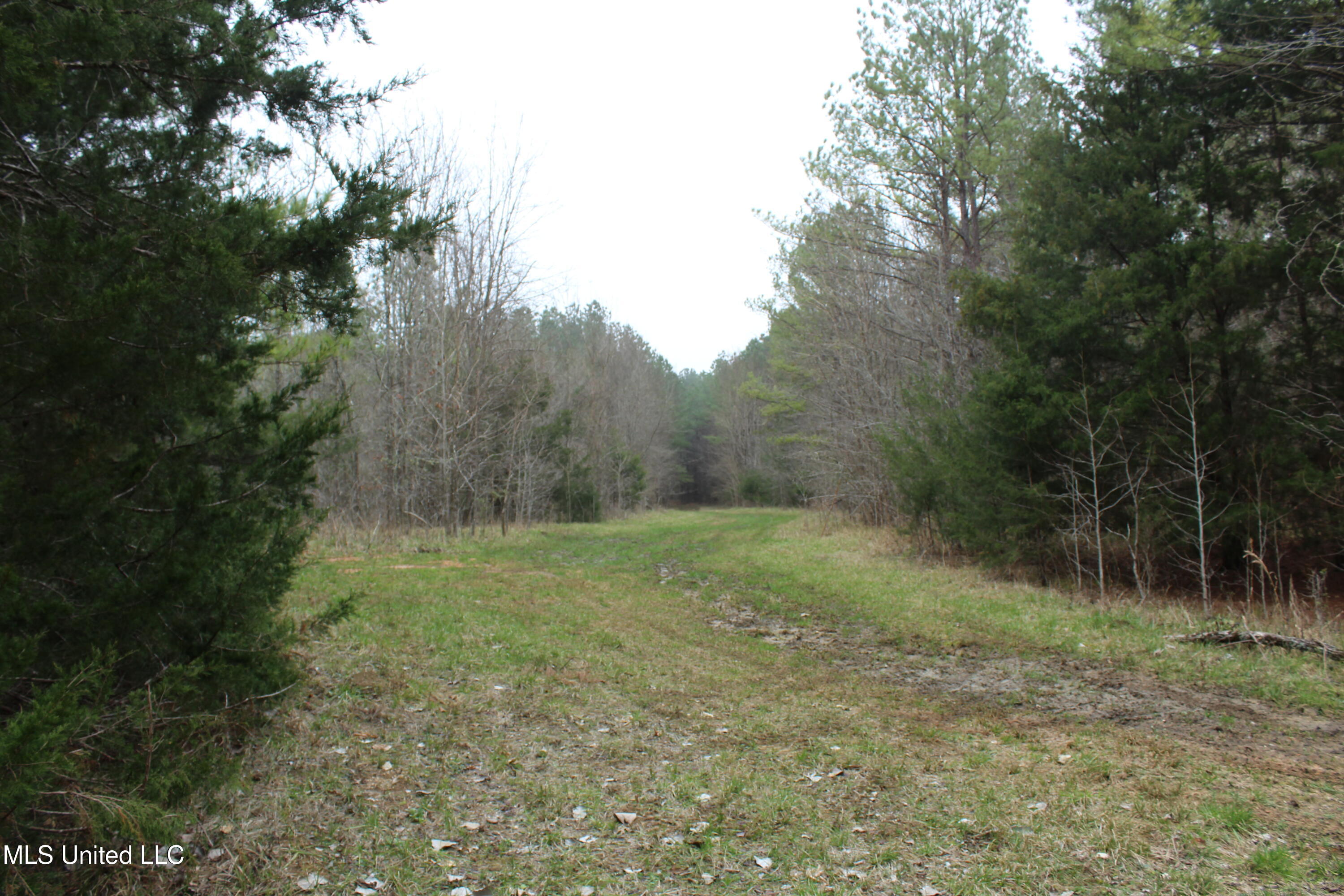 Co Rd 2414, Rose Hill, Mississippi image 22
