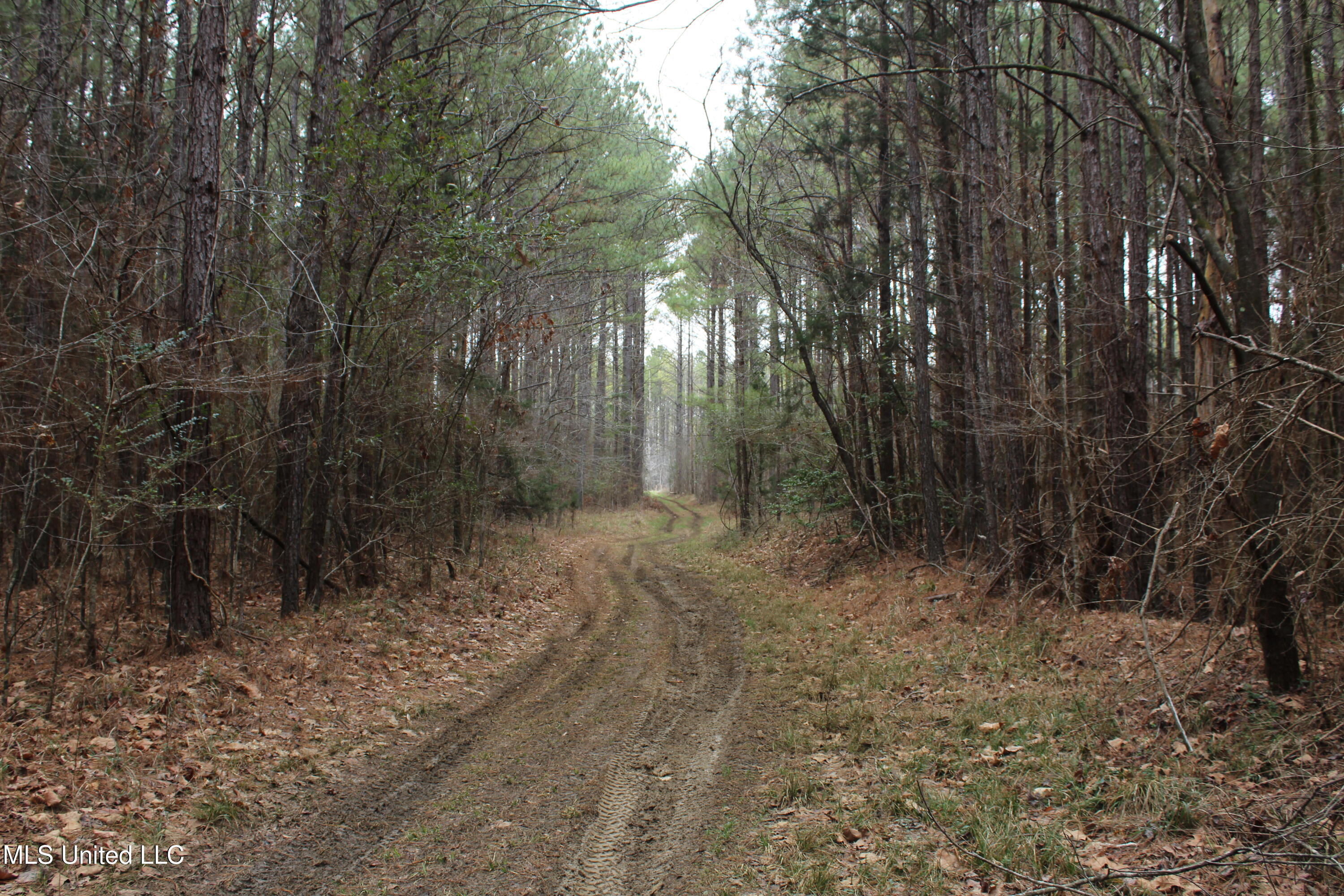 Co Rd 2414, Rose Hill, Mississippi image 33