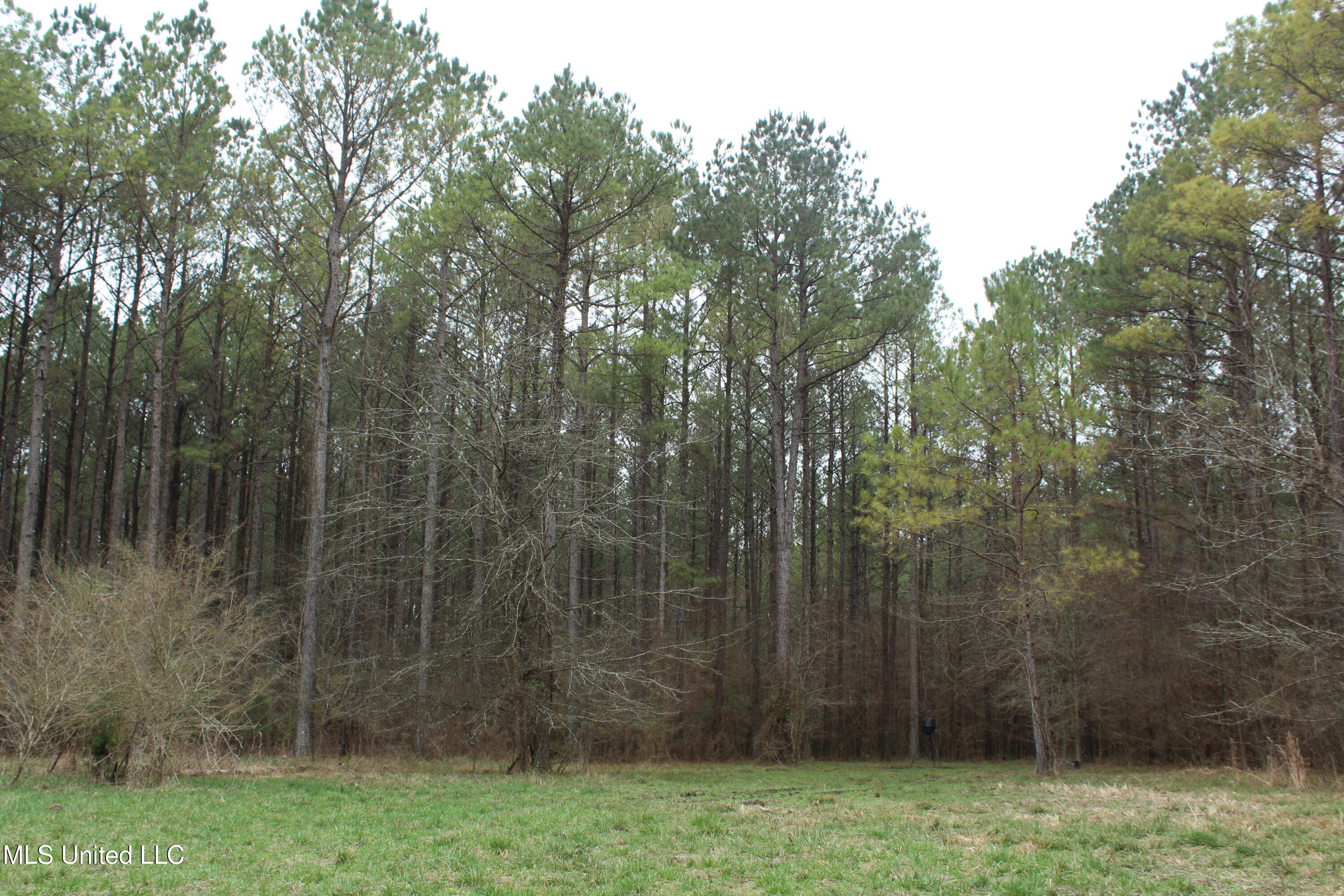 Co Rd 2414, Rose Hill, Mississippi image 20
