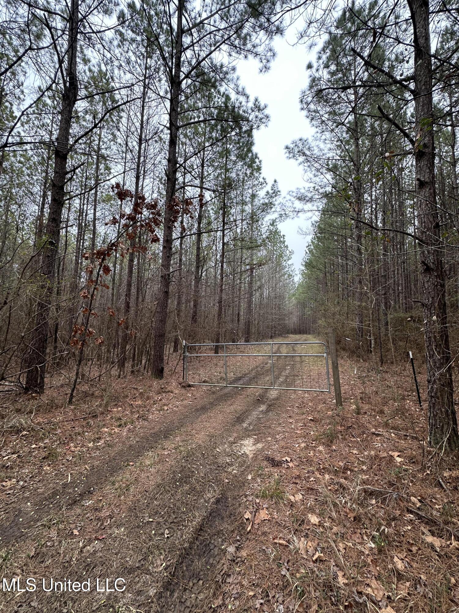 Co Rd 2414, Rose Hill, Mississippi image 5