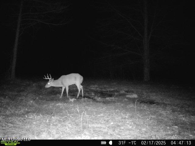 Co Rd 2414, Rose Hill, Mississippi image 13