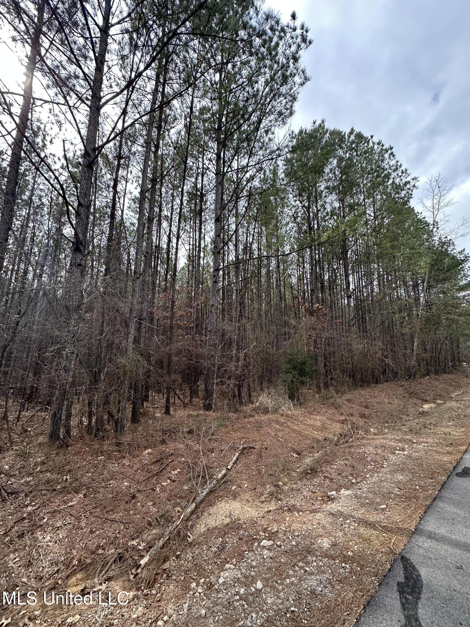 Co Rd 2414, Rose Hill, Mississippi image 42