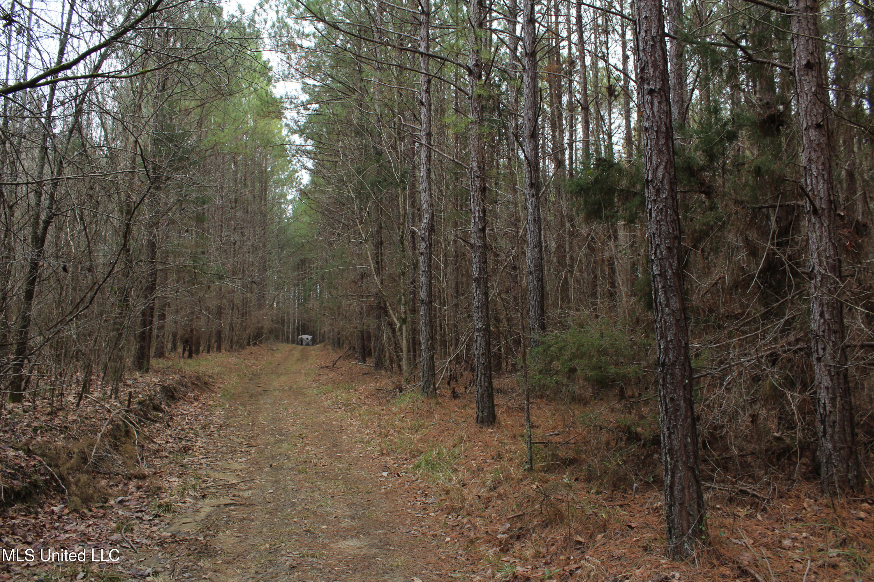 Co Rd 2414, Rose Hill, Mississippi image 24