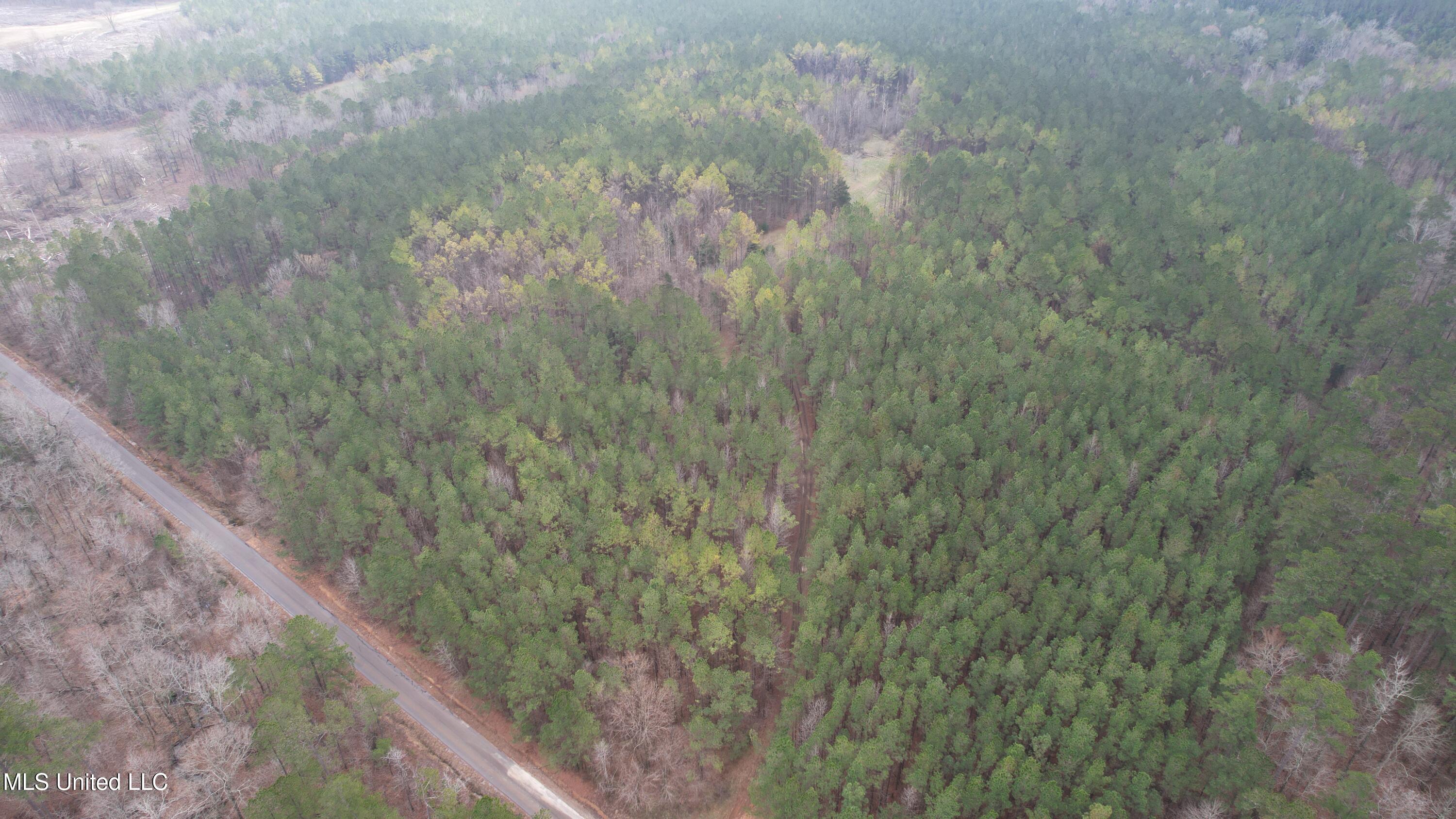 Co Rd 2414, Rose Hill, Mississippi image 44