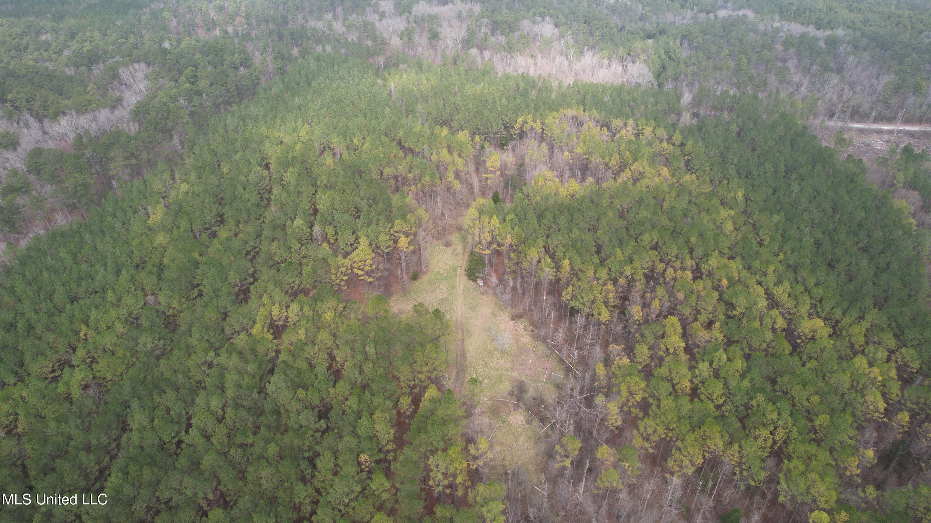 Co Rd 2414, Rose Hill, Mississippi image 46