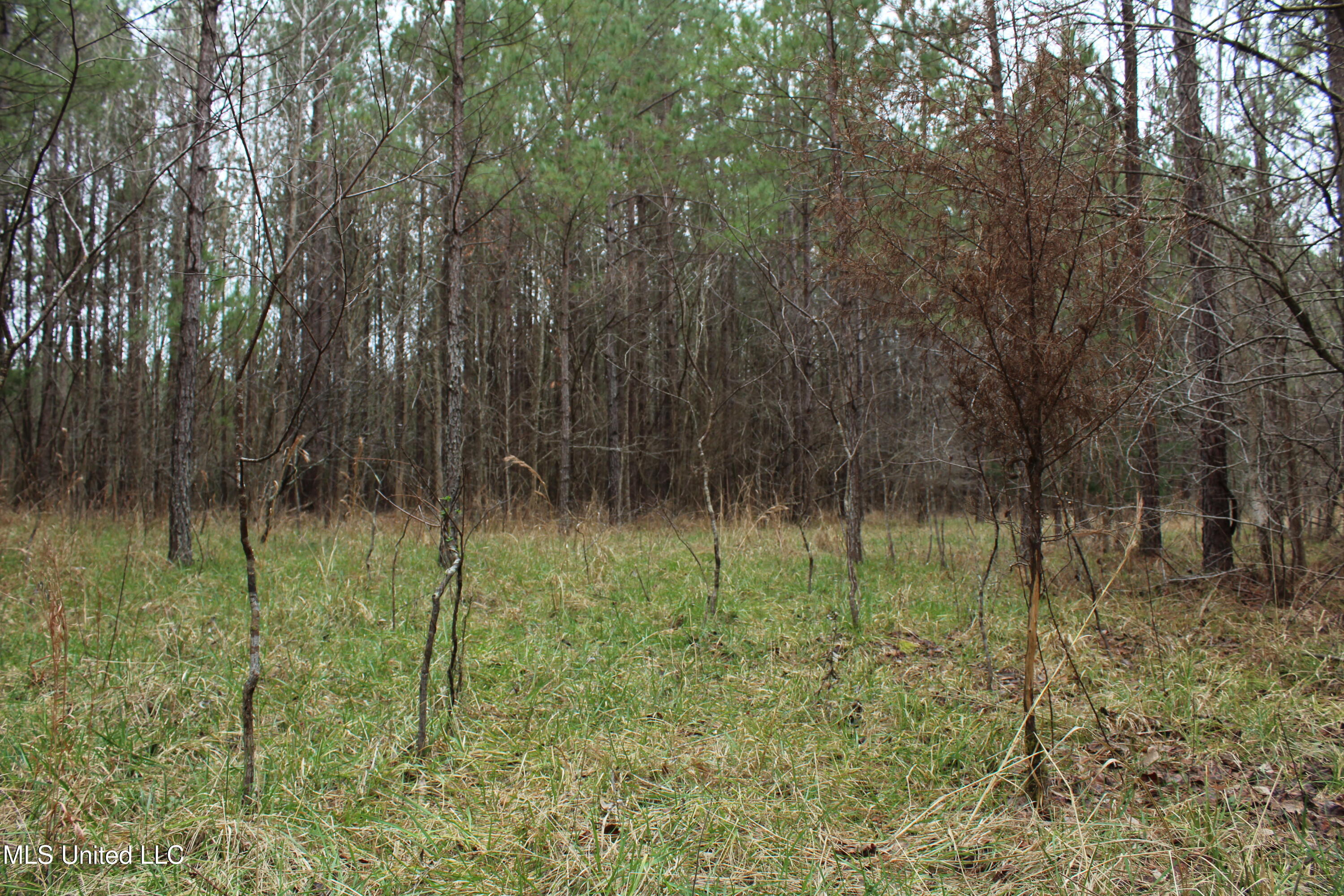 Co Rd 2414, Rose Hill, Mississippi image 30