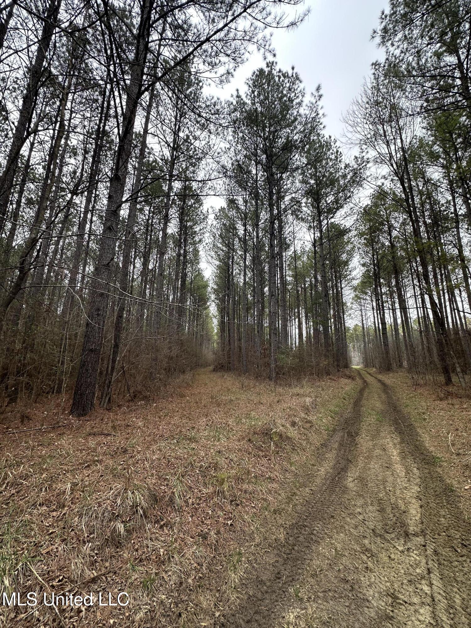 Co Rd 2414, Rose Hill, Mississippi image 40