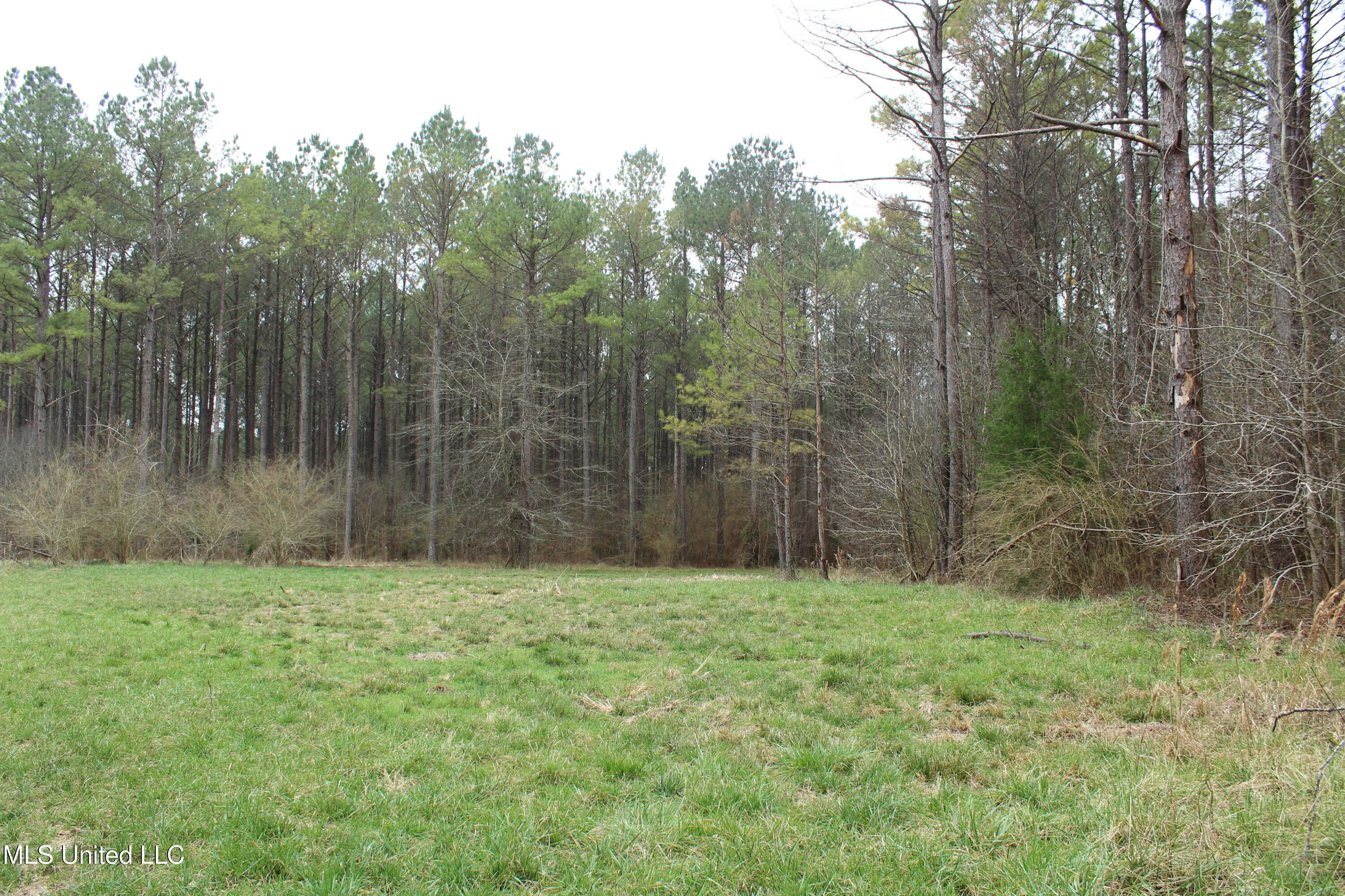 Co Rd 2414, Rose Hill, Mississippi image 19