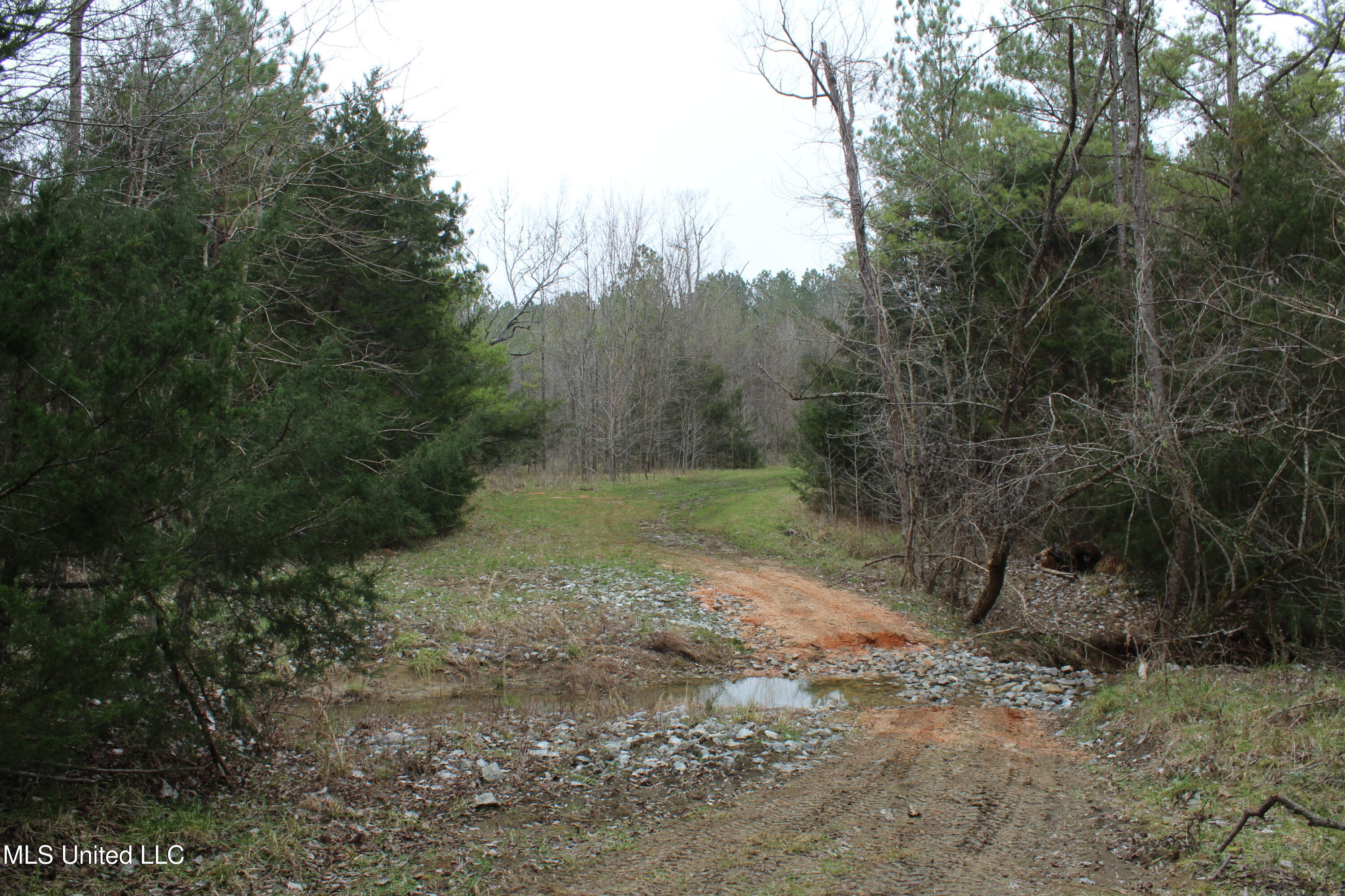 Co Rd 2414, Rose Hill, Mississippi image 11