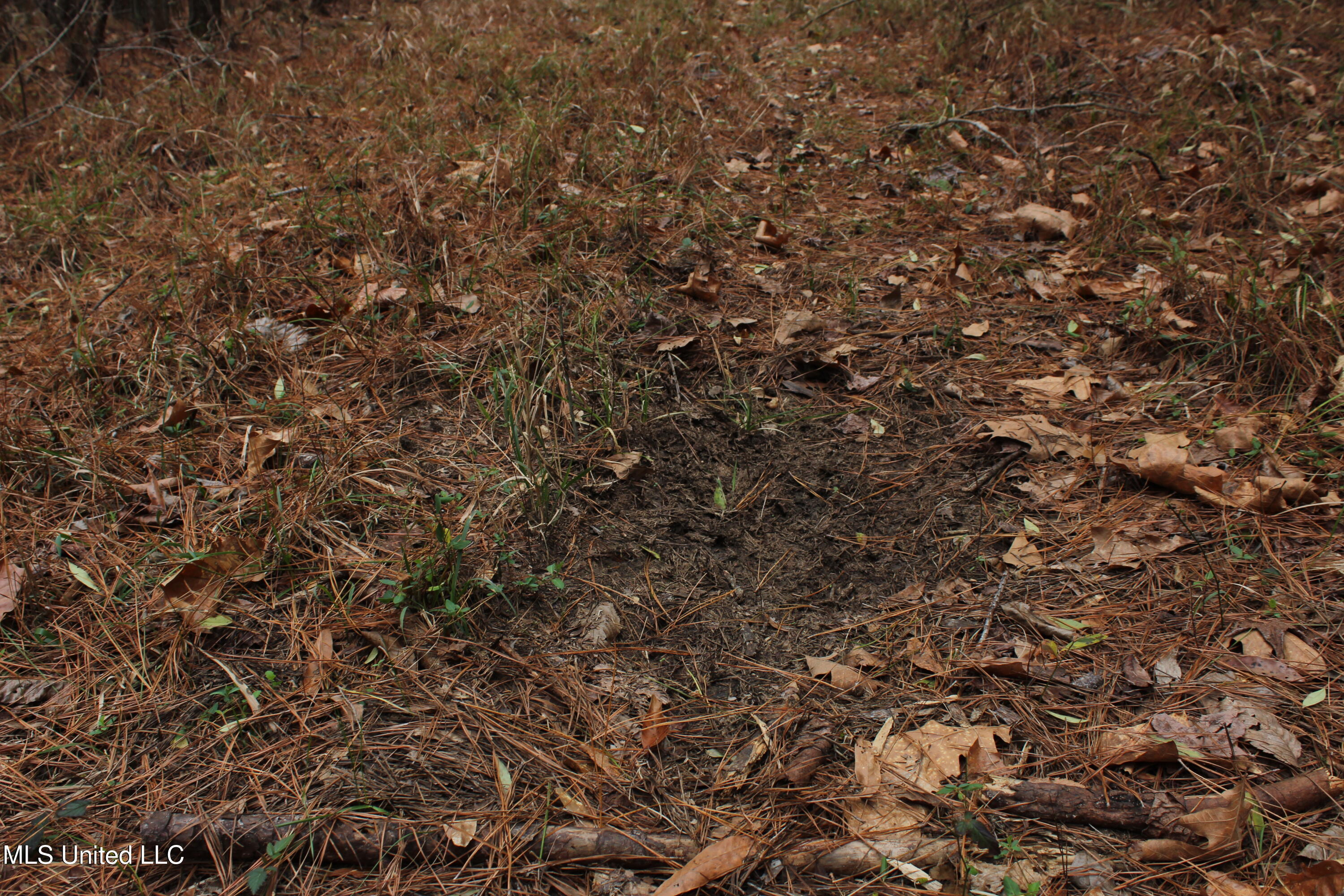 Co Rd 2414, Rose Hill, Mississippi image 25