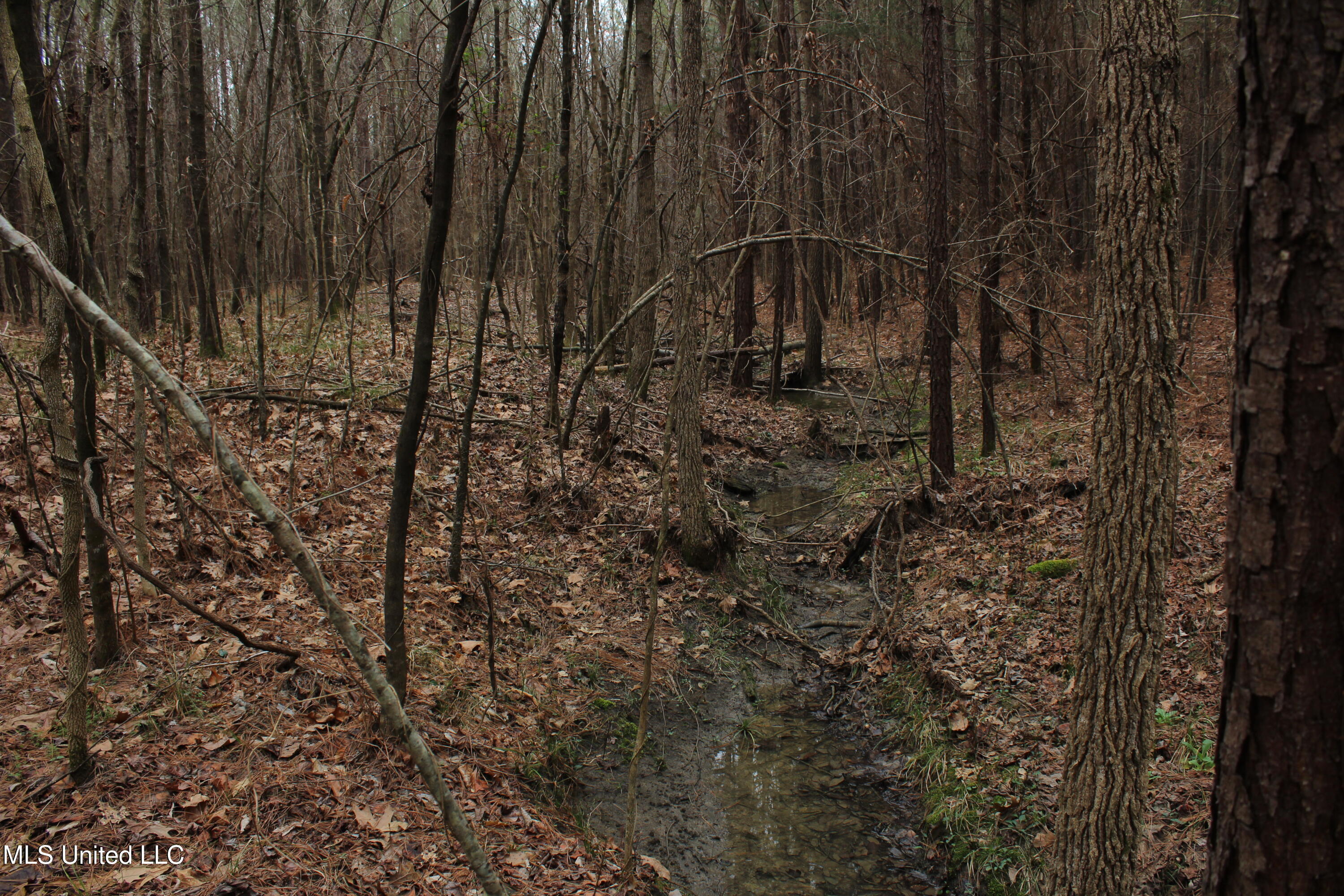 Co Rd 2414, Rose Hill, Mississippi image 29