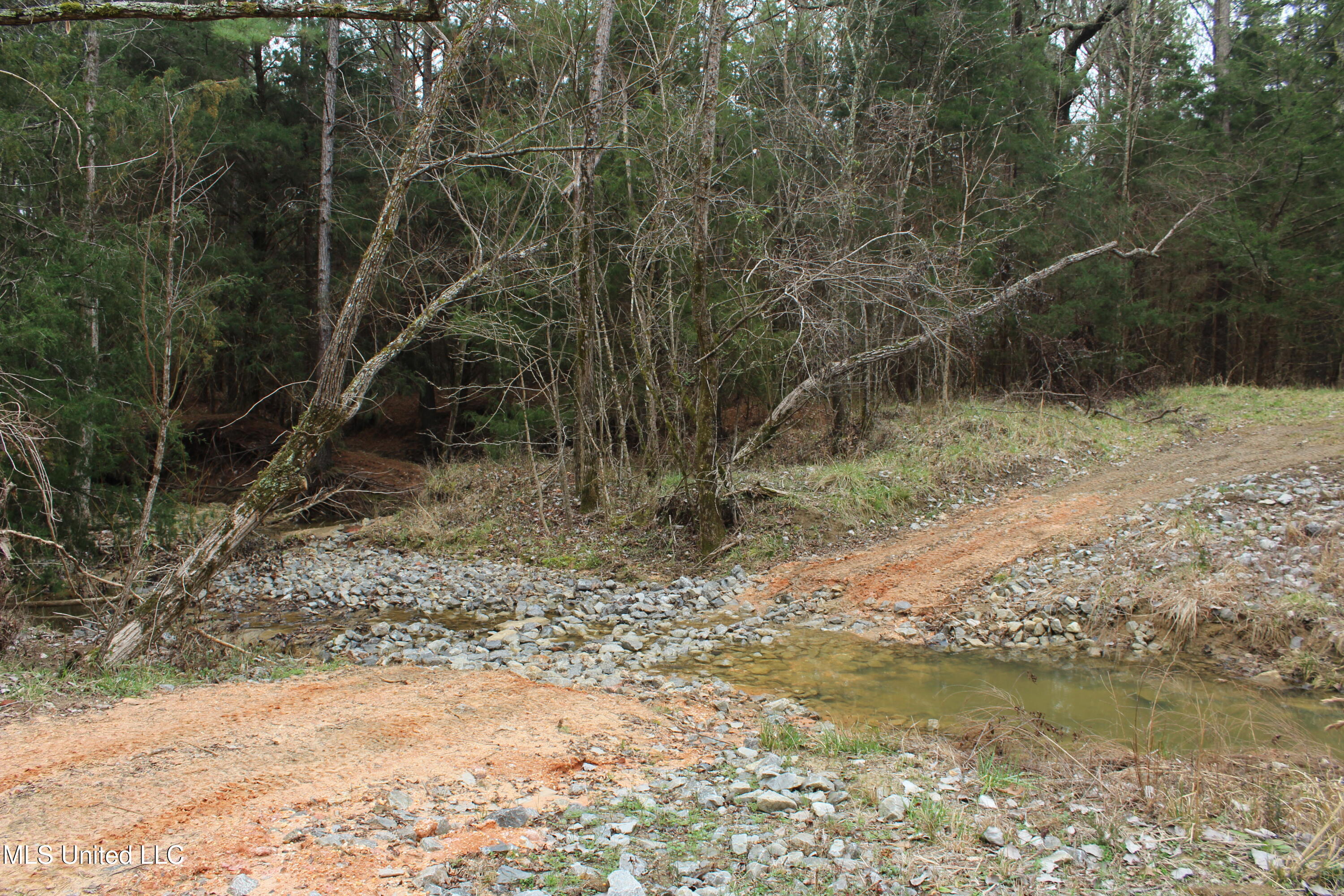 Co Rd 2414, Rose Hill, Mississippi image 9