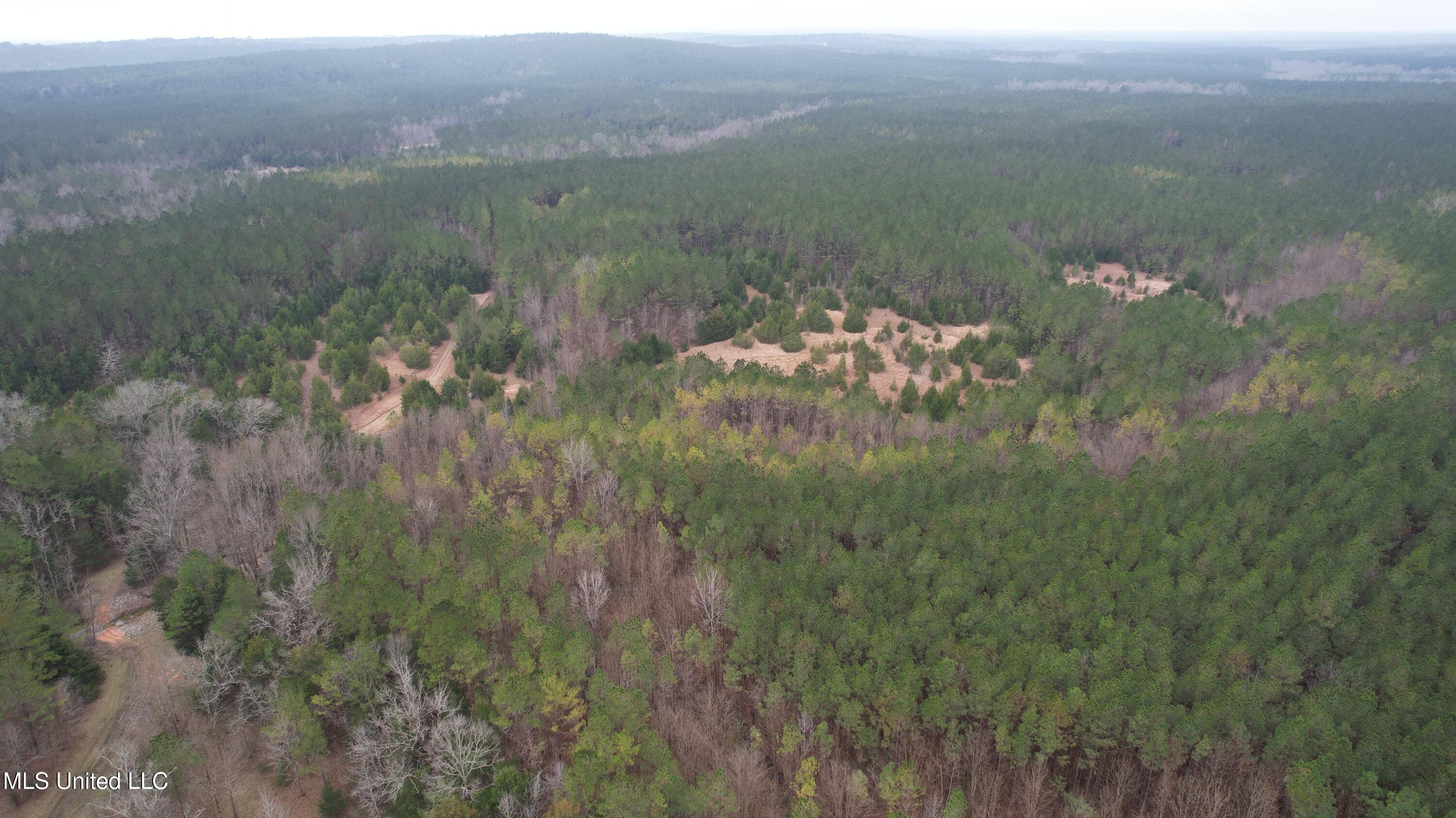 Co Rd 2414, Rose Hill, Mississippi image 48