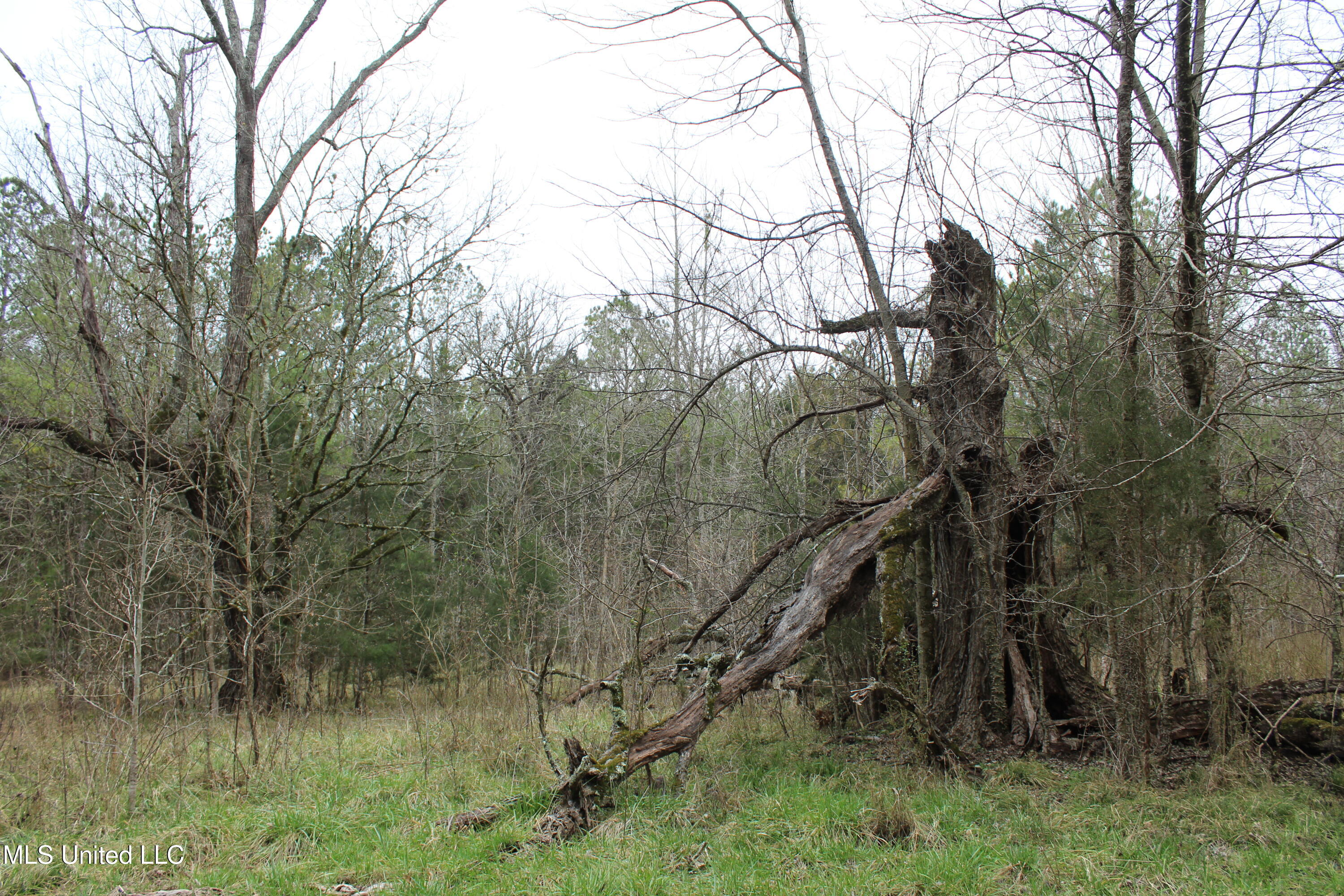 Co Rd 2414, Rose Hill, Mississippi image 32