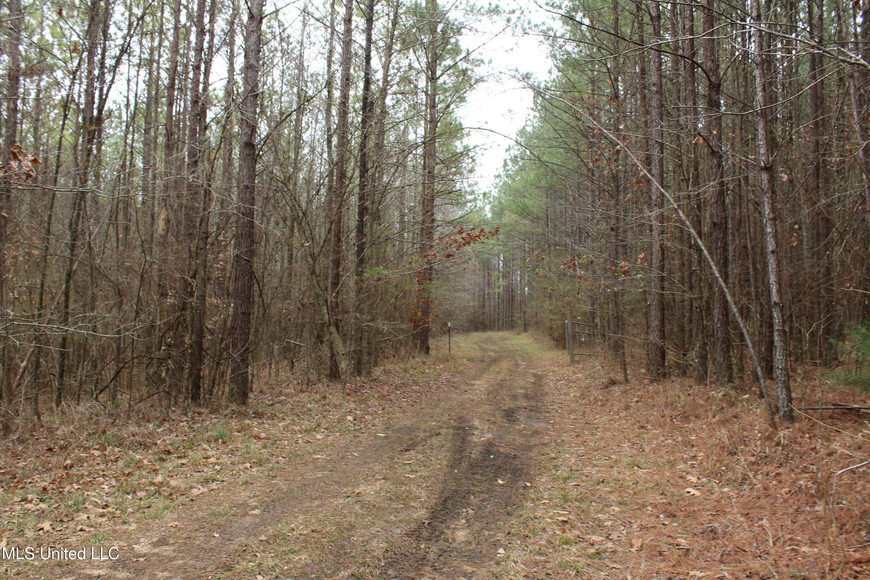 Co Rd 2414, Rose Hill, Mississippi image 7