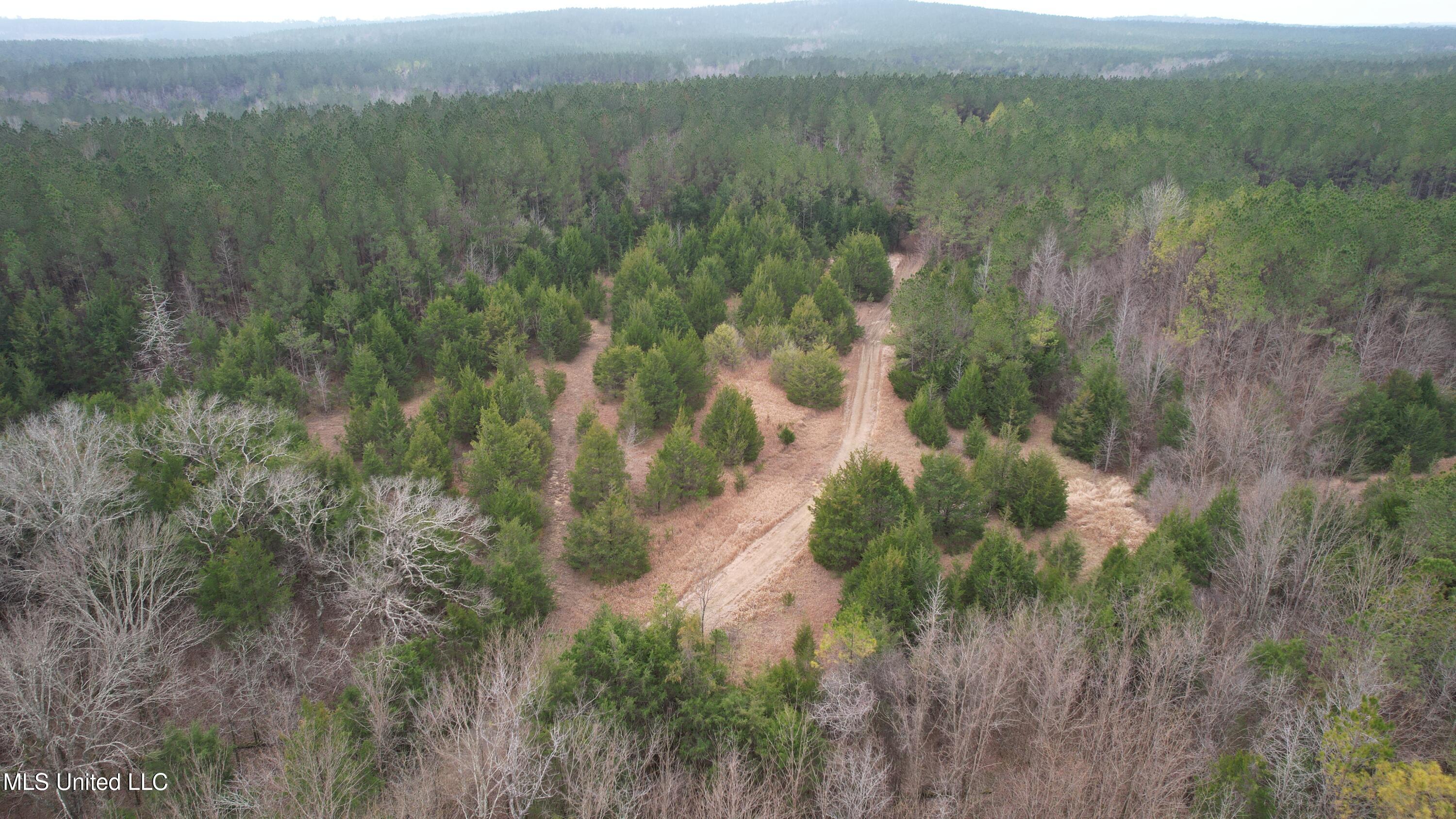 Co Rd 2414, Rose Hill, Mississippi image 49