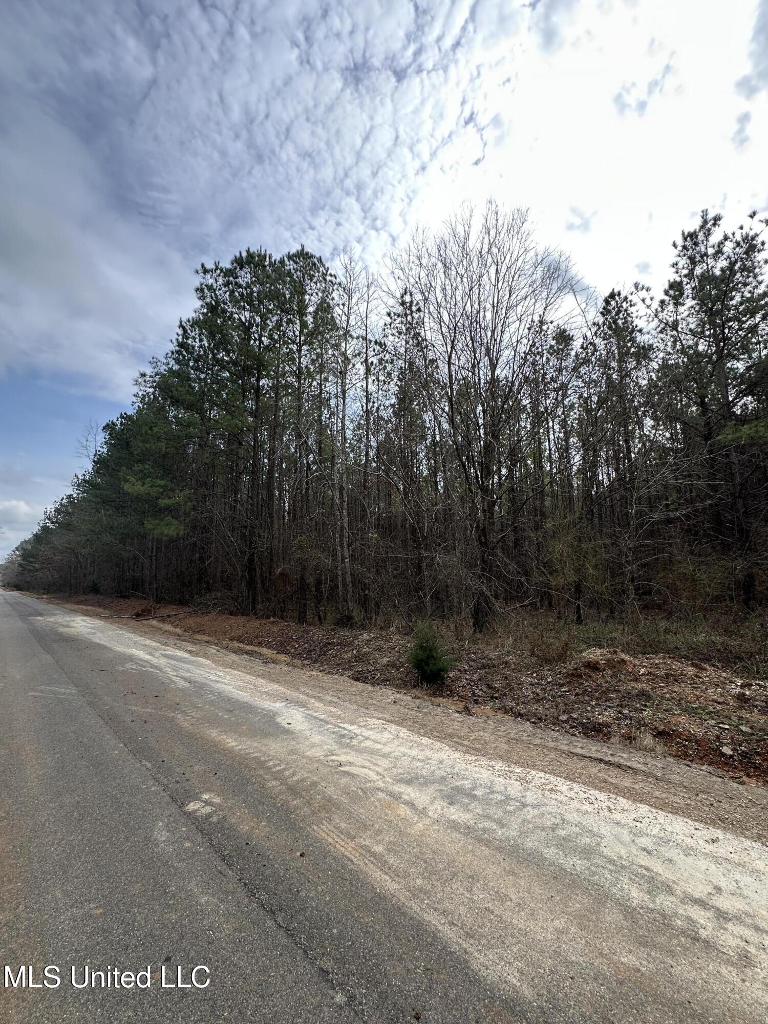 Co Rd 2414, Rose Hill, Mississippi image 41