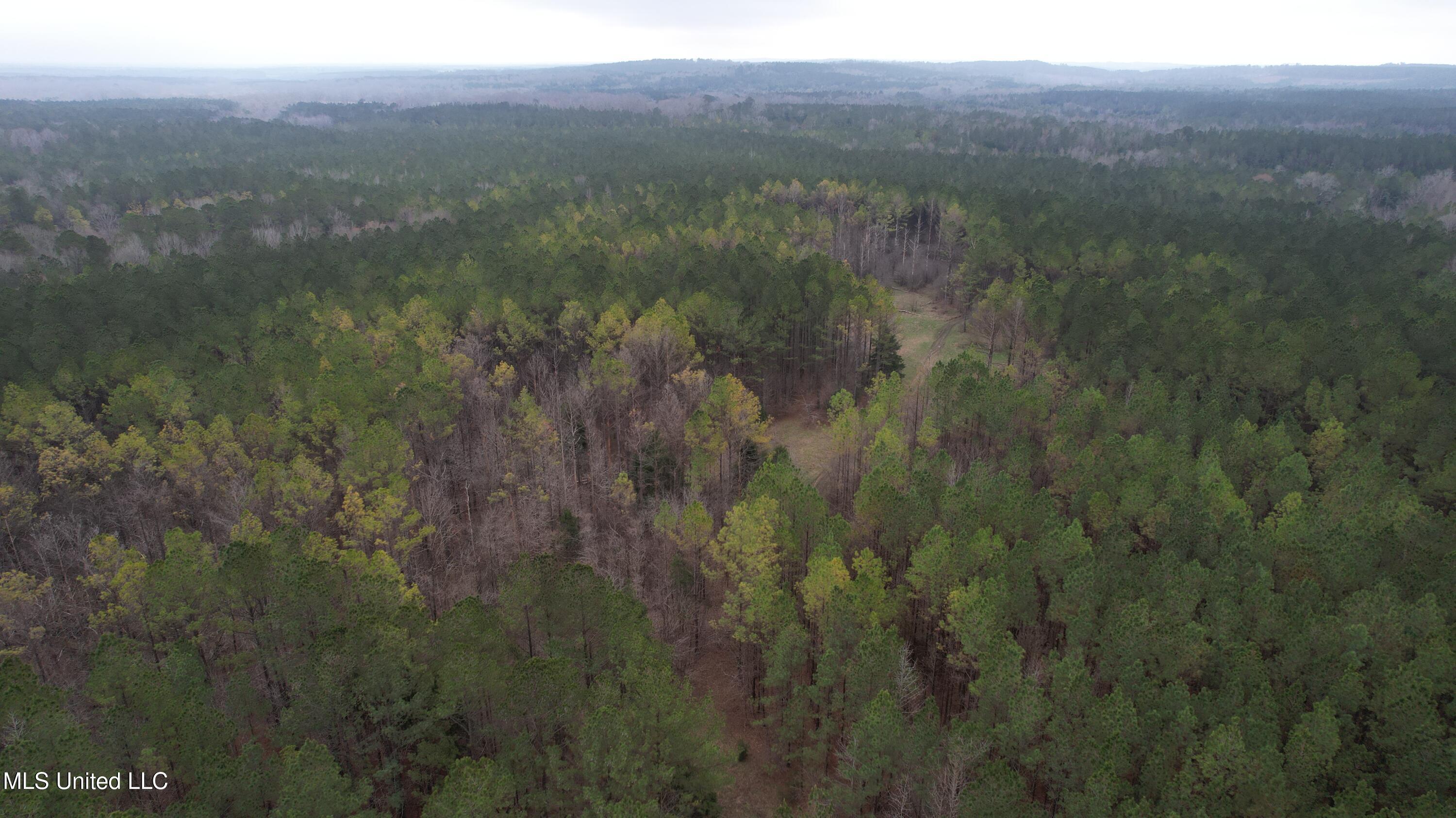 Co Rd 2414, Rose Hill, Mississippi image 45