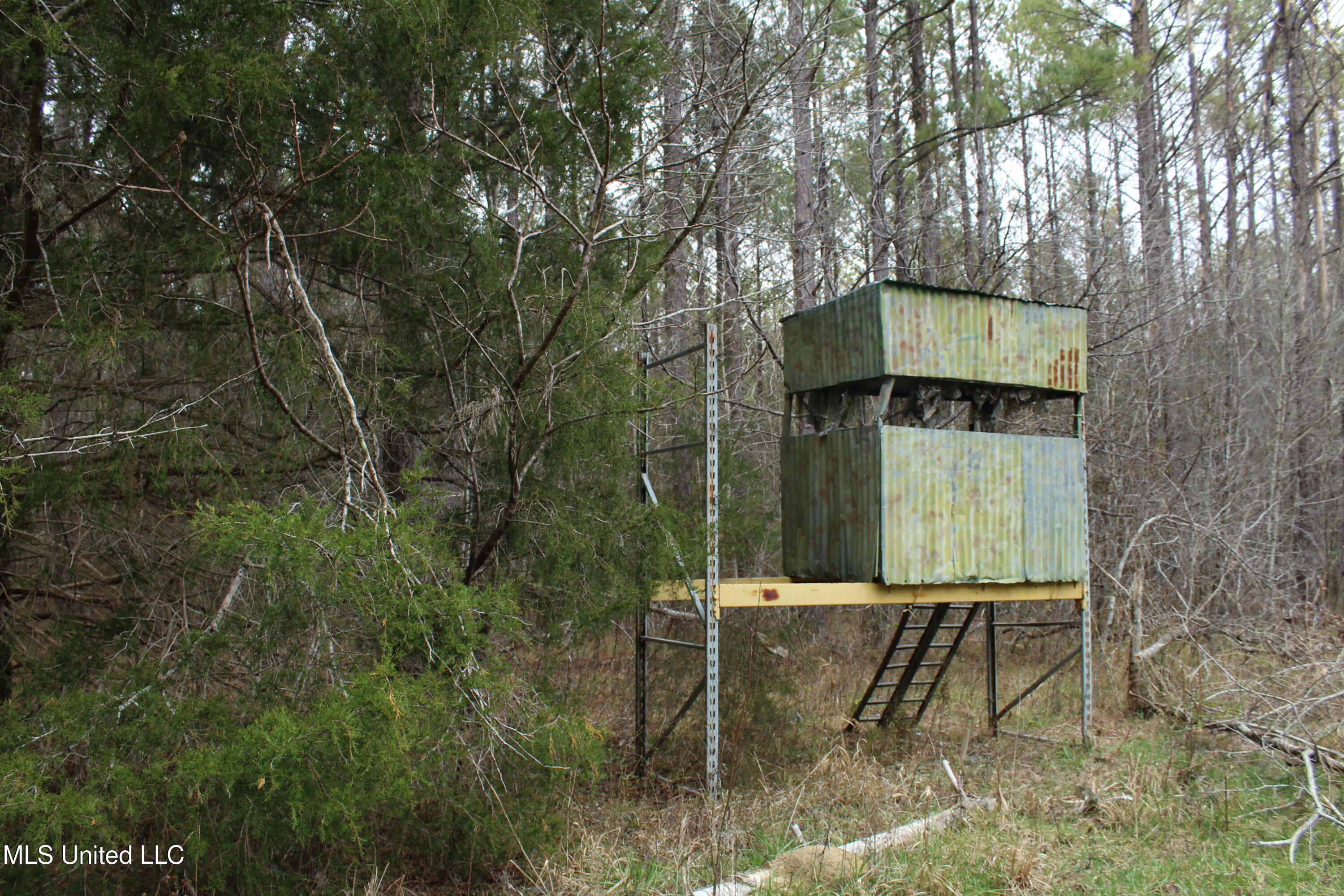 Co Rd 2414, Rose Hill, Mississippi image 8