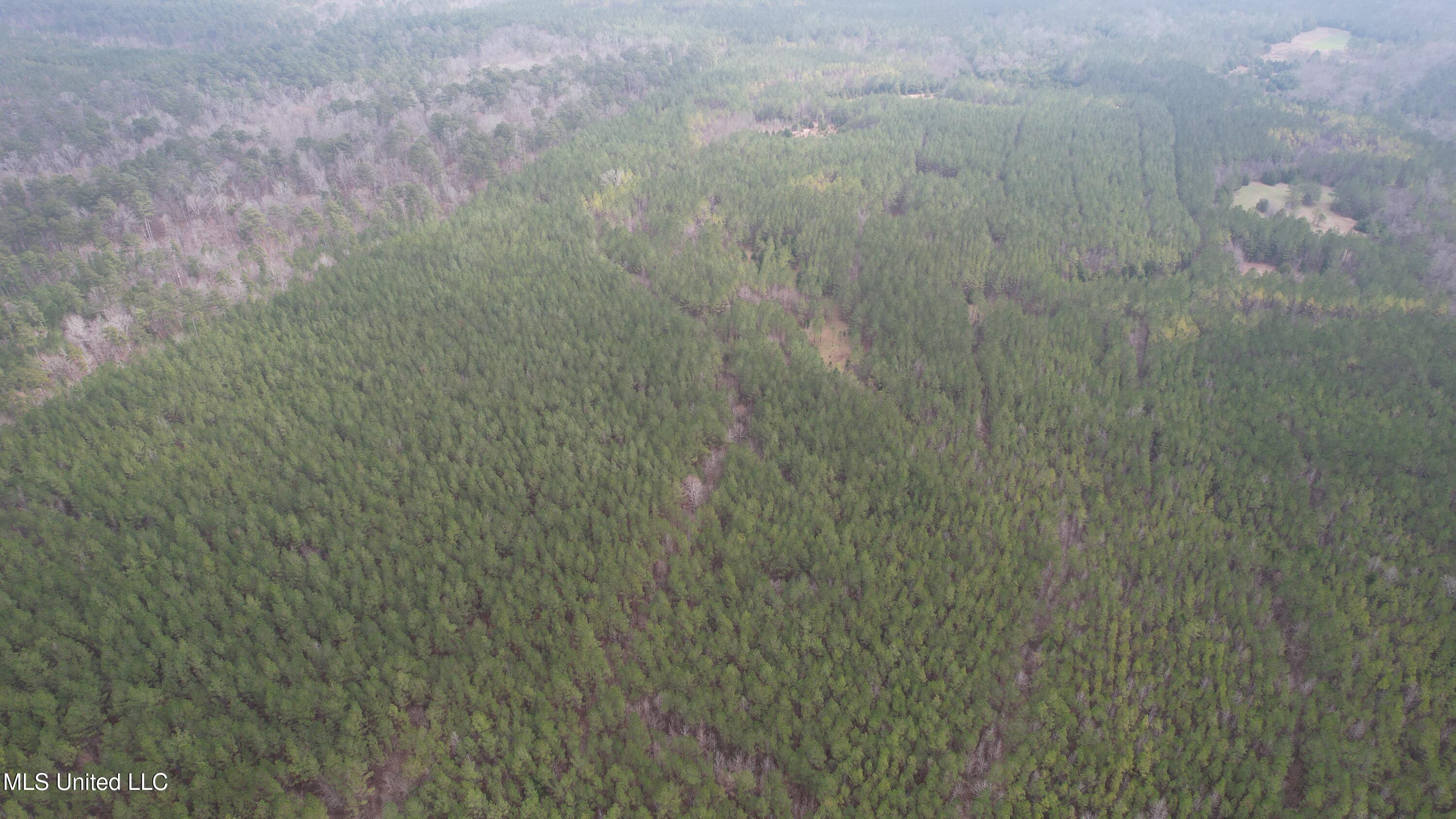 Co Rd 2414, Rose Hill, Mississippi image 43