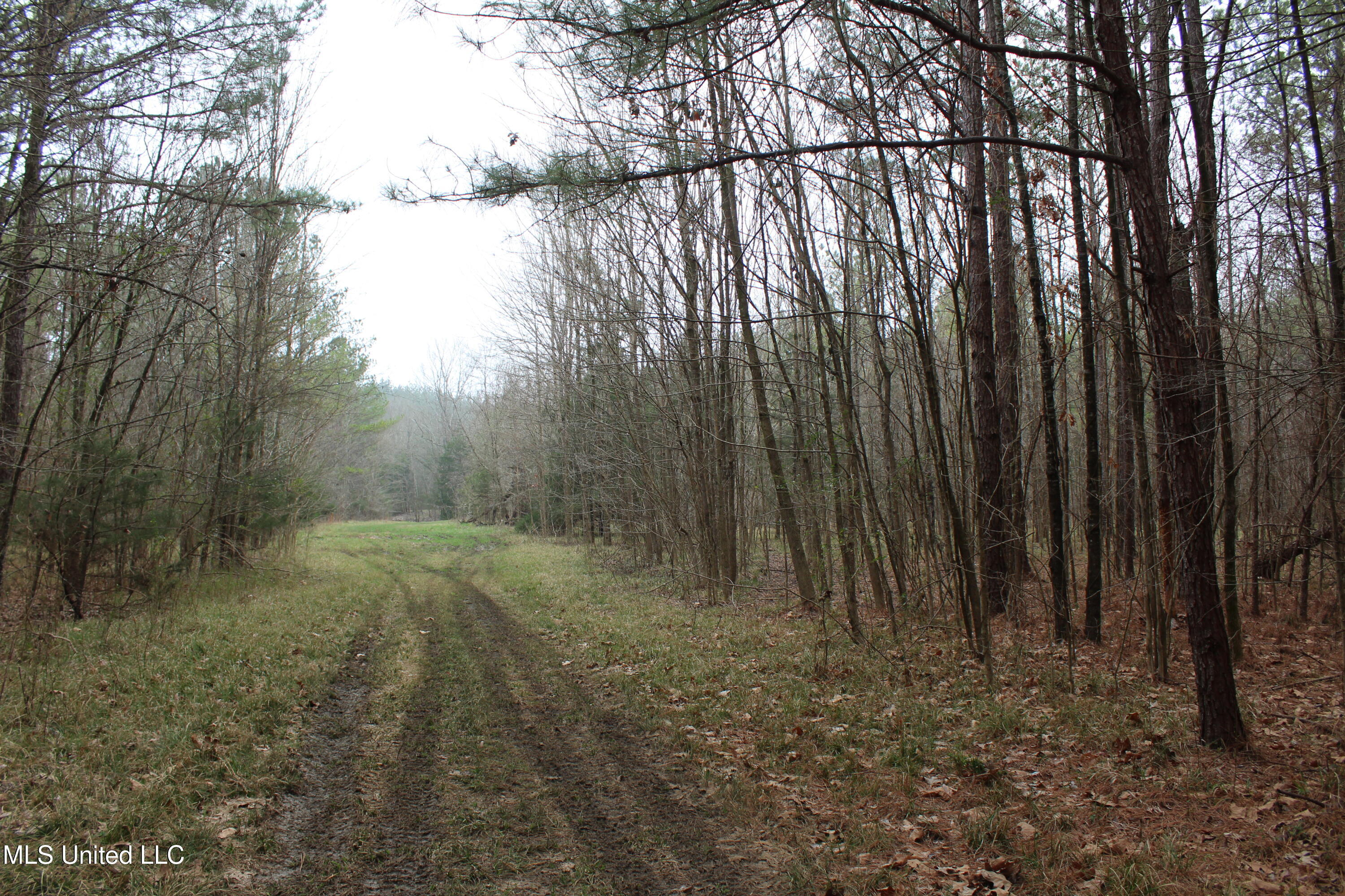 Co Rd 2414, Rose Hill, Mississippi image 21