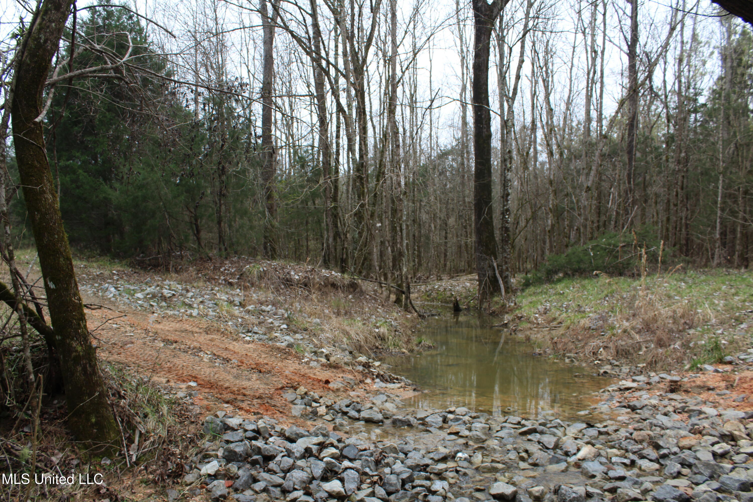 Co Rd 2414, Rose Hill, Mississippi image 10