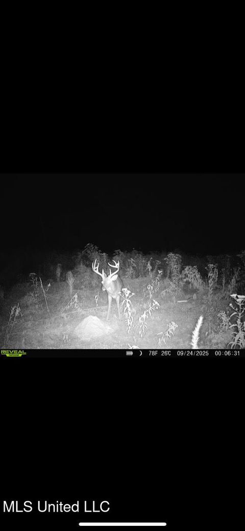 Vacant Land For Sale - Highway 12<br/> Tchula, MS 39169