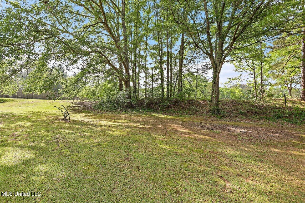 107 Chalet Strasse, Brandon, Mississippi image 39