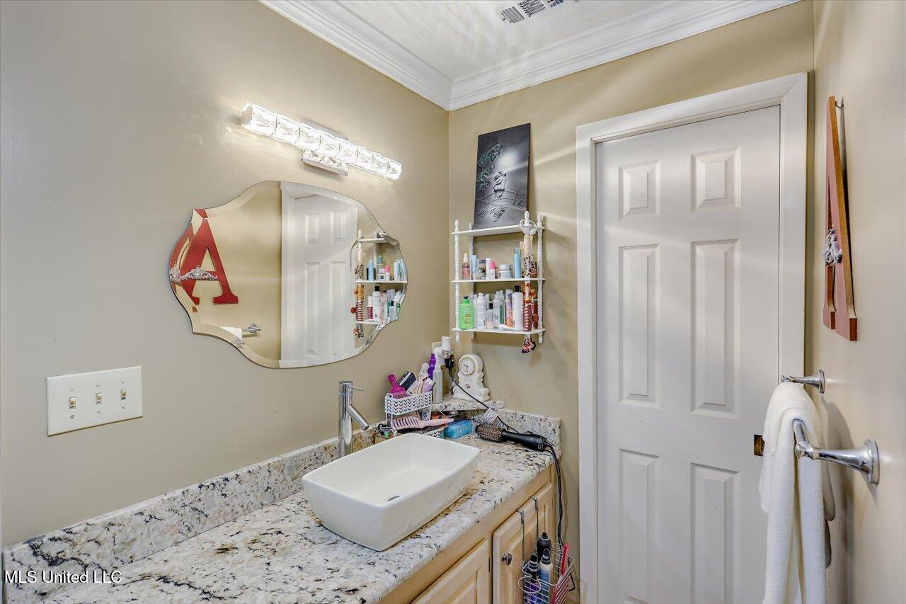 107 Chalet Strasse, Brandon, Mississippi image 23