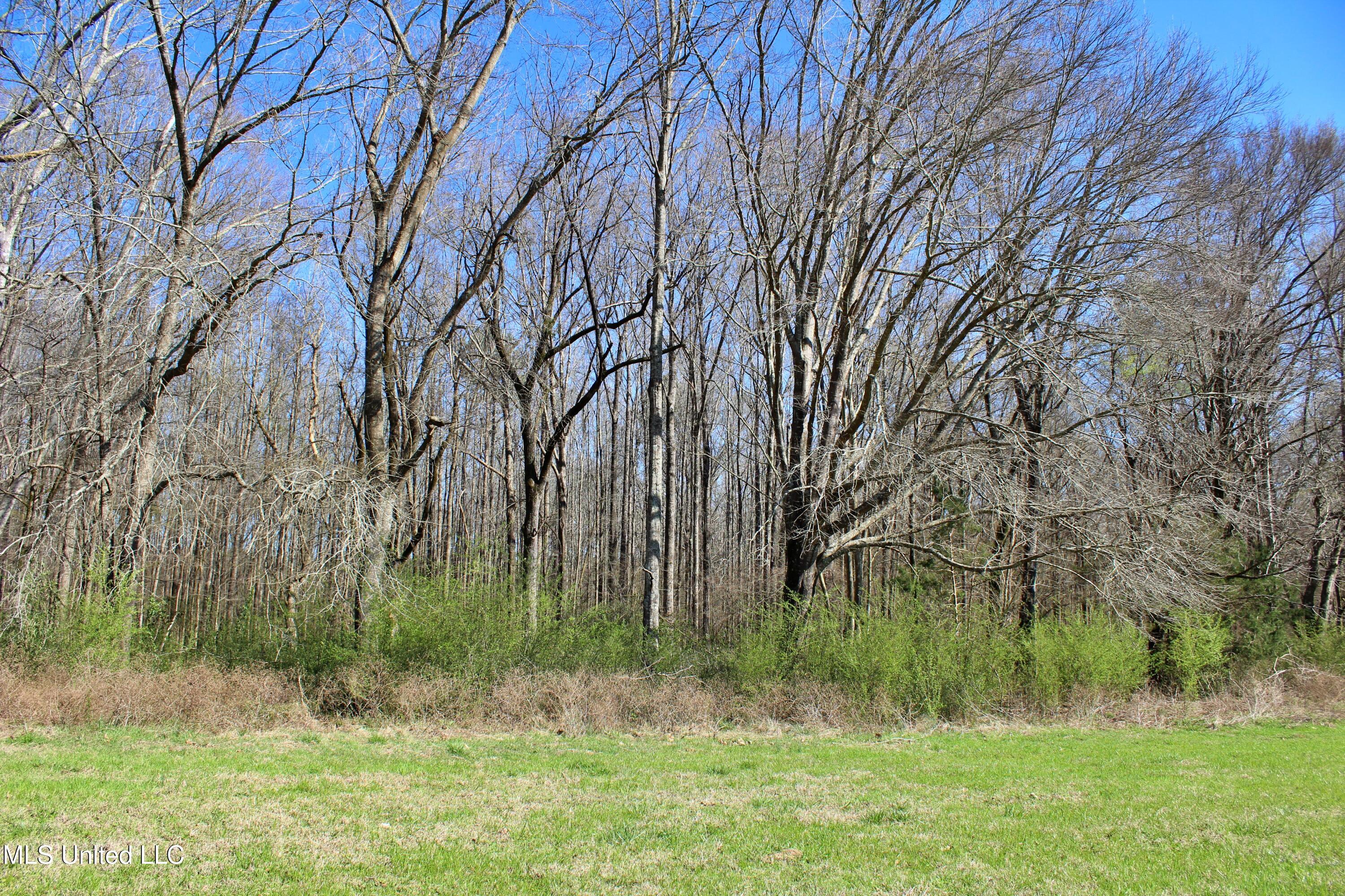 Highway 35, Kosciusko, Mississippi image 35