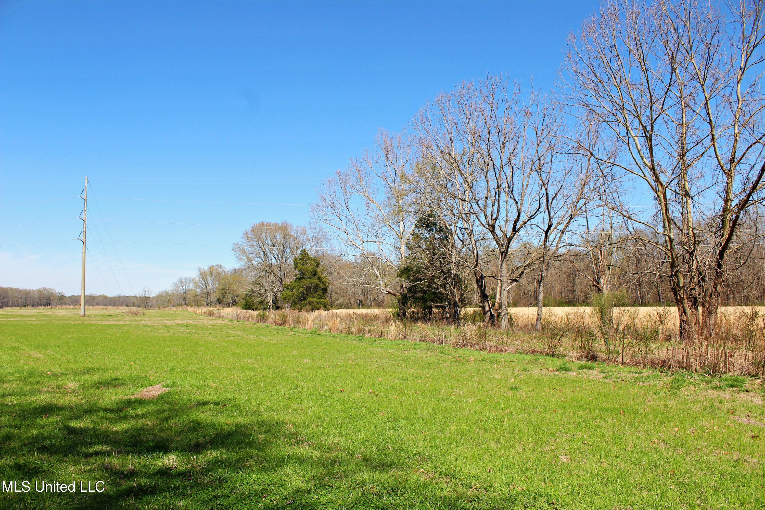 Highway 35, Kosciusko, Mississippi image 17