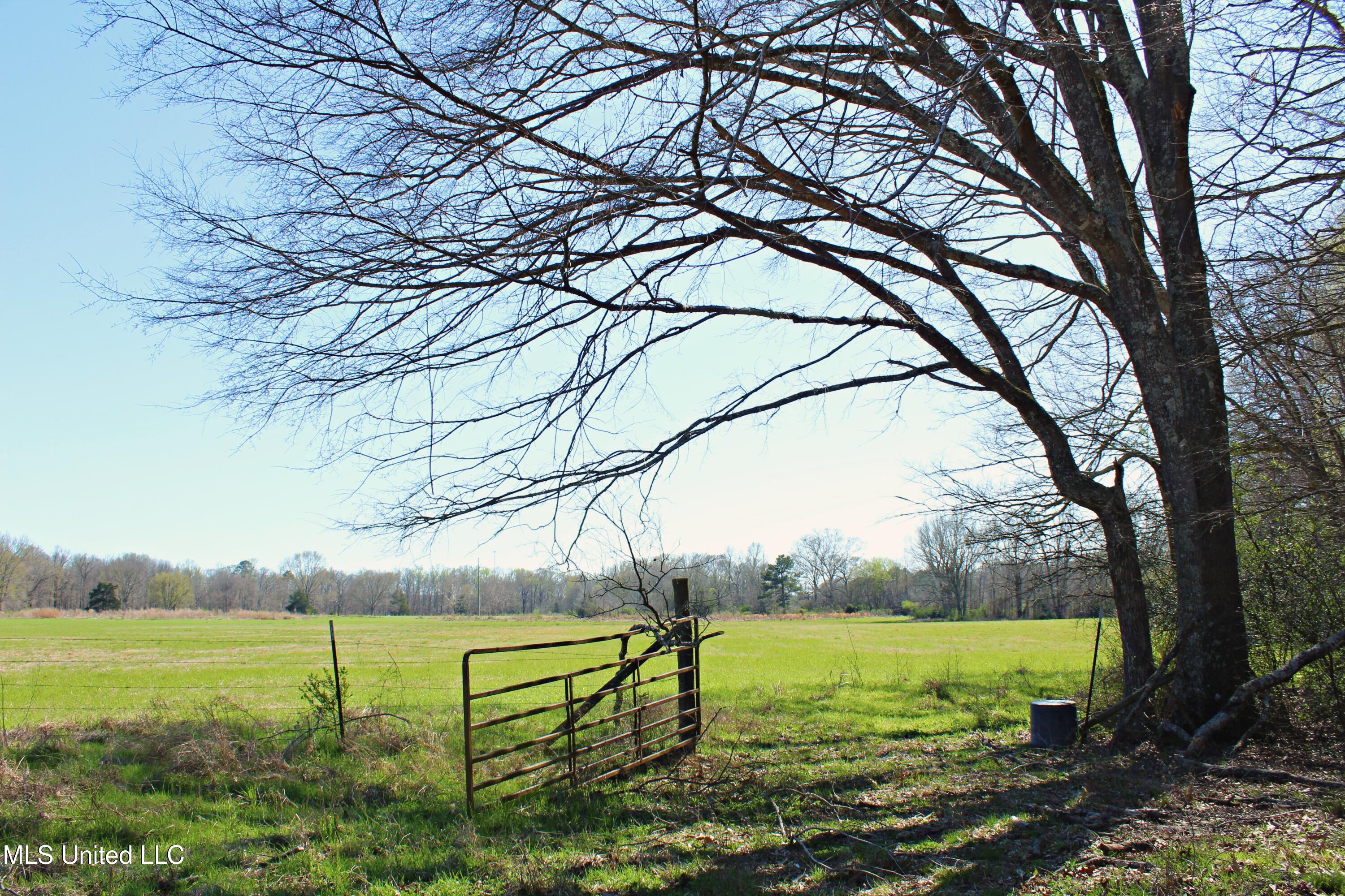 Highway 35, Kosciusko, Mississippi image 22