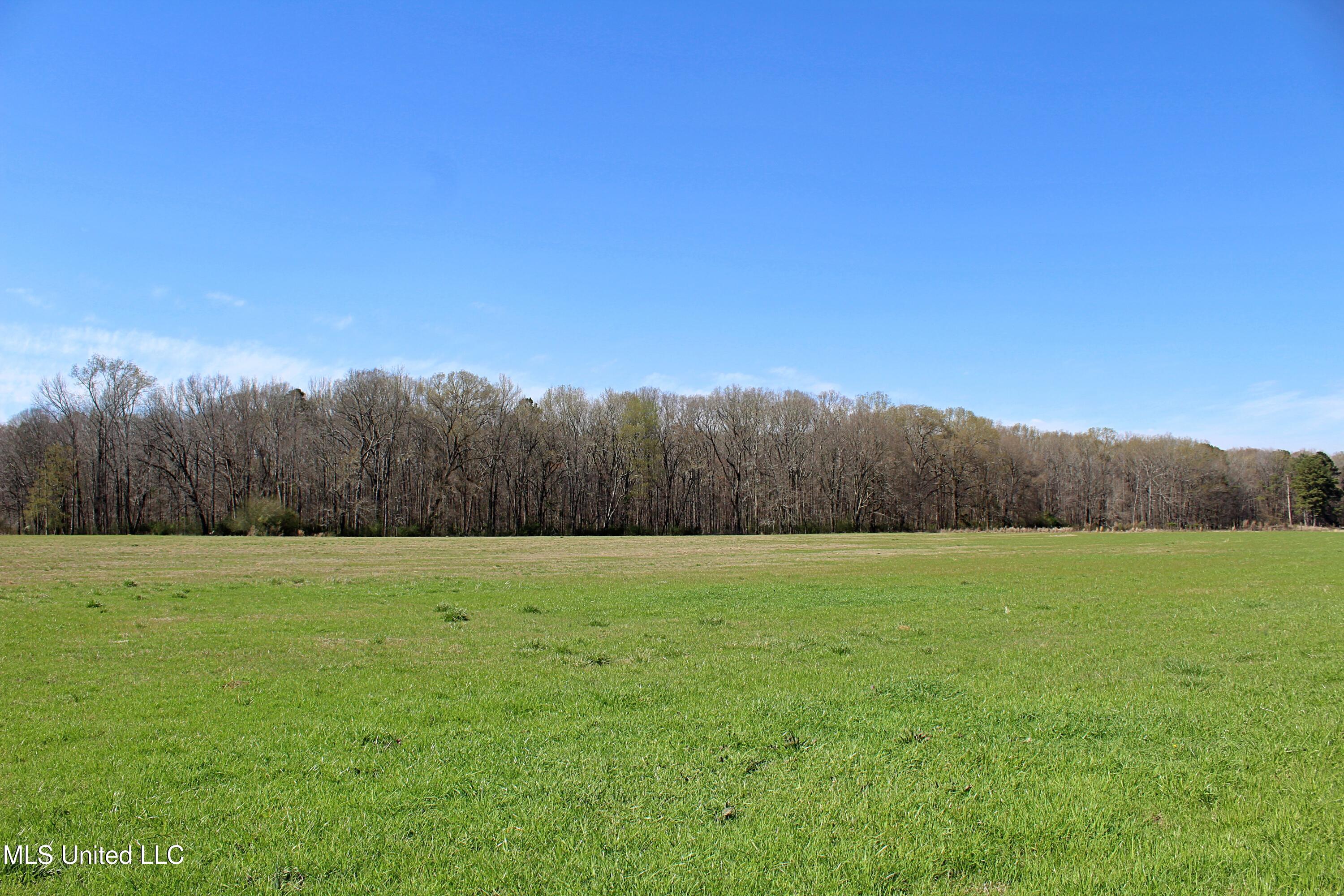 Highway 35, Kosciusko, Mississippi image 19