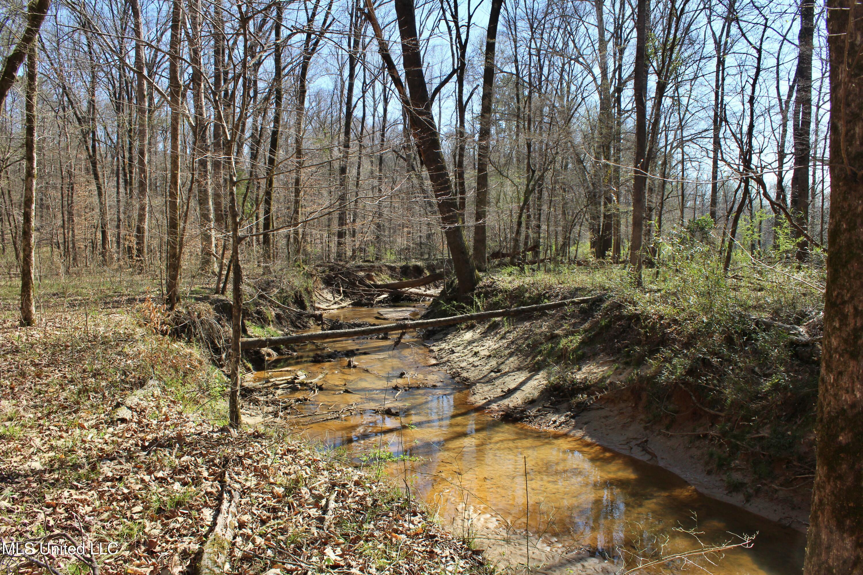 Highway 35, Kosciusko, Mississippi image 33
