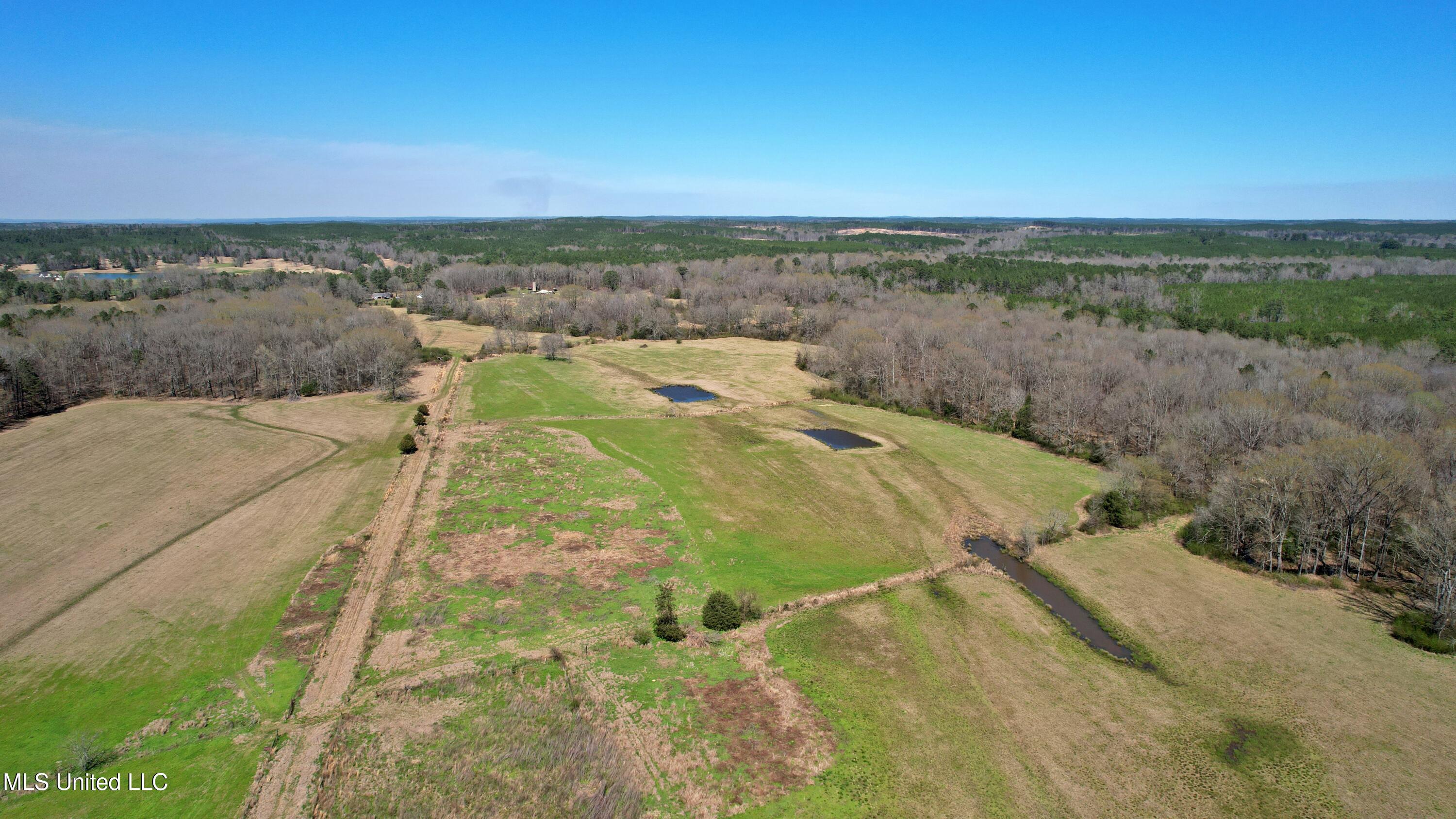 Highway 35, Kosciusko, Mississippi image 2