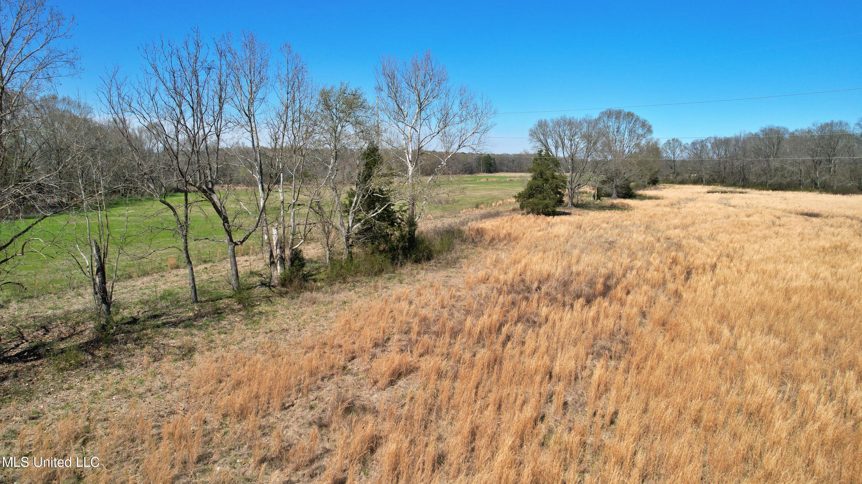 Highway 35, Kosciusko, Mississippi image 11