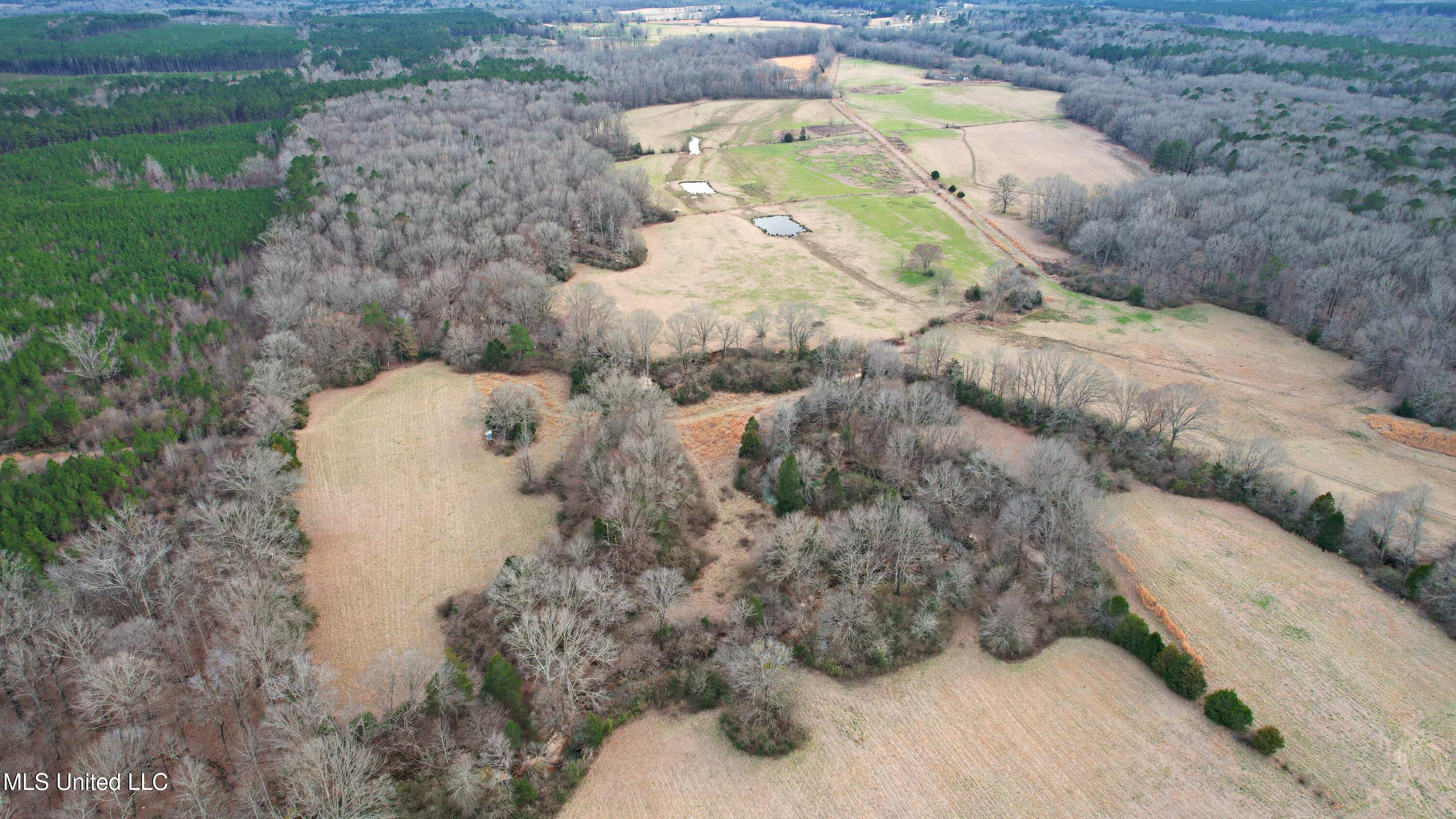 Highway 35, Kosciusko, Mississippi image 4