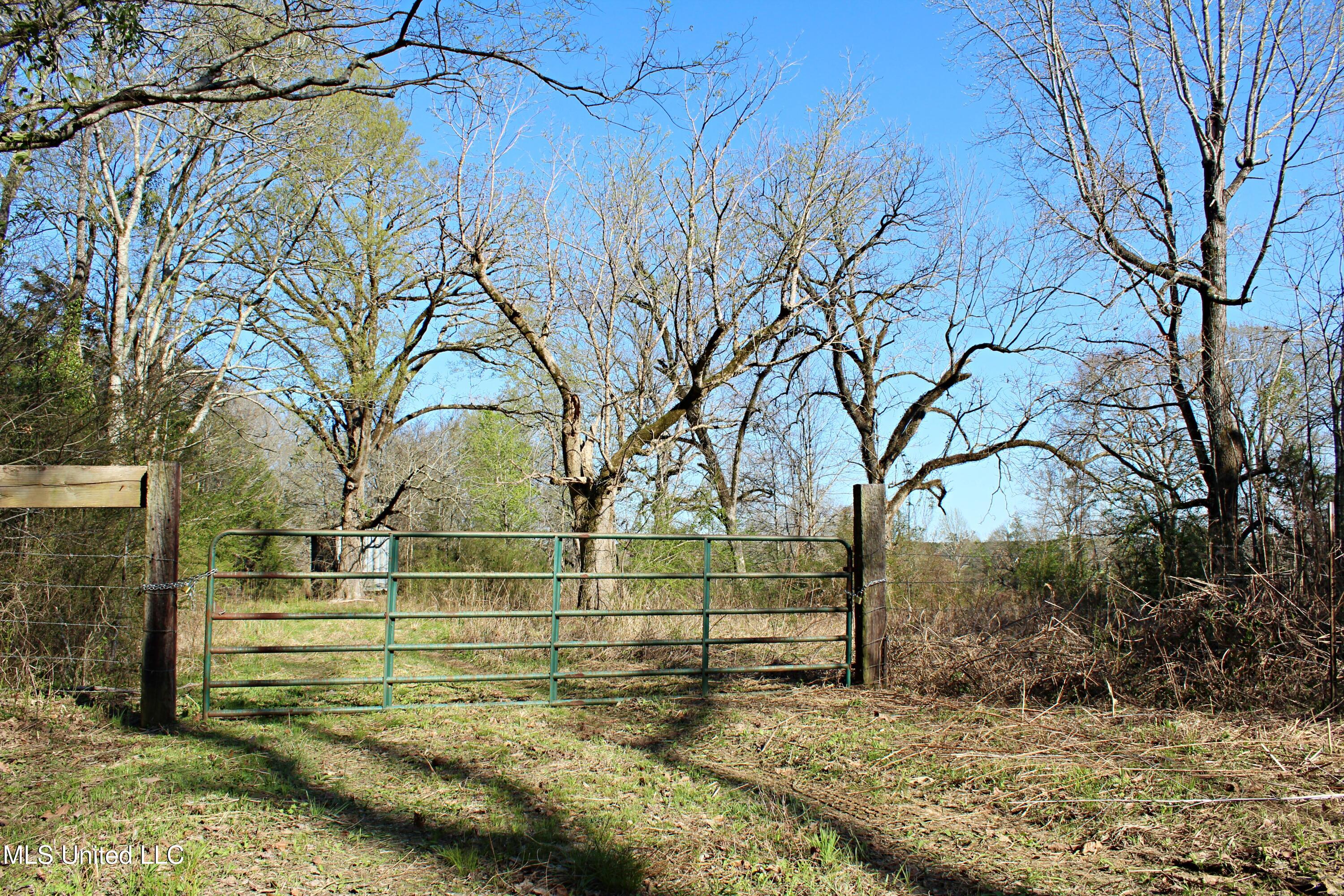 Highway 35, Kosciusko, Mississippi image 9