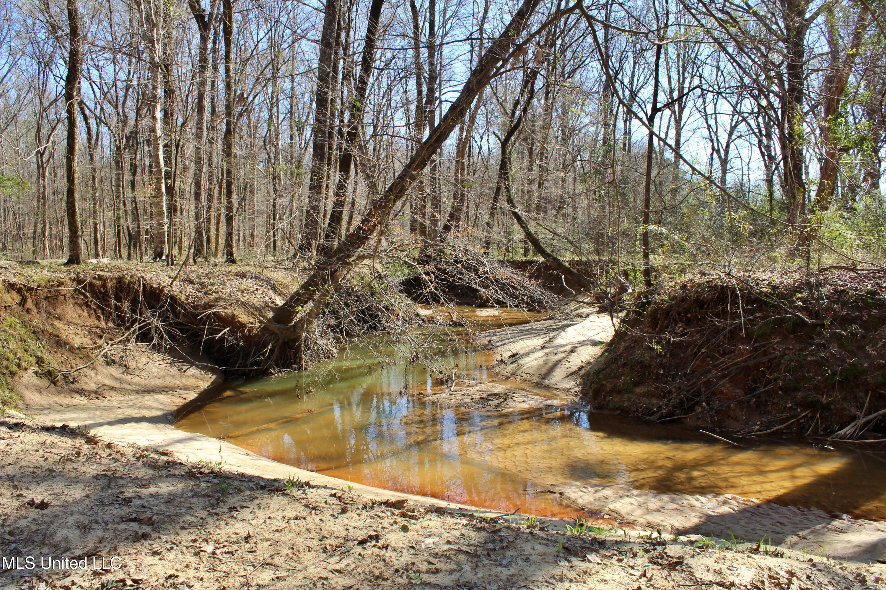 Highway 35, Kosciusko, Mississippi image 31