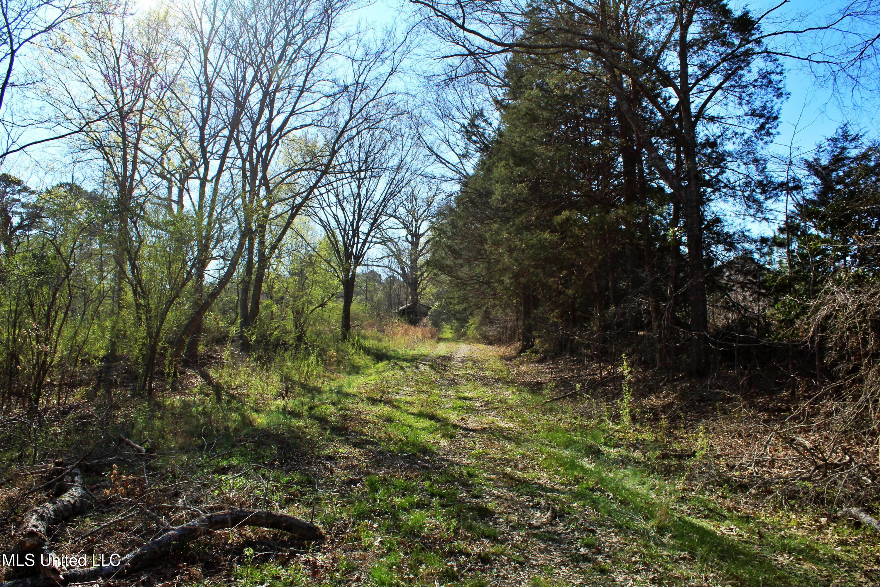 Highway 35, Kosciusko, Mississippi image 39