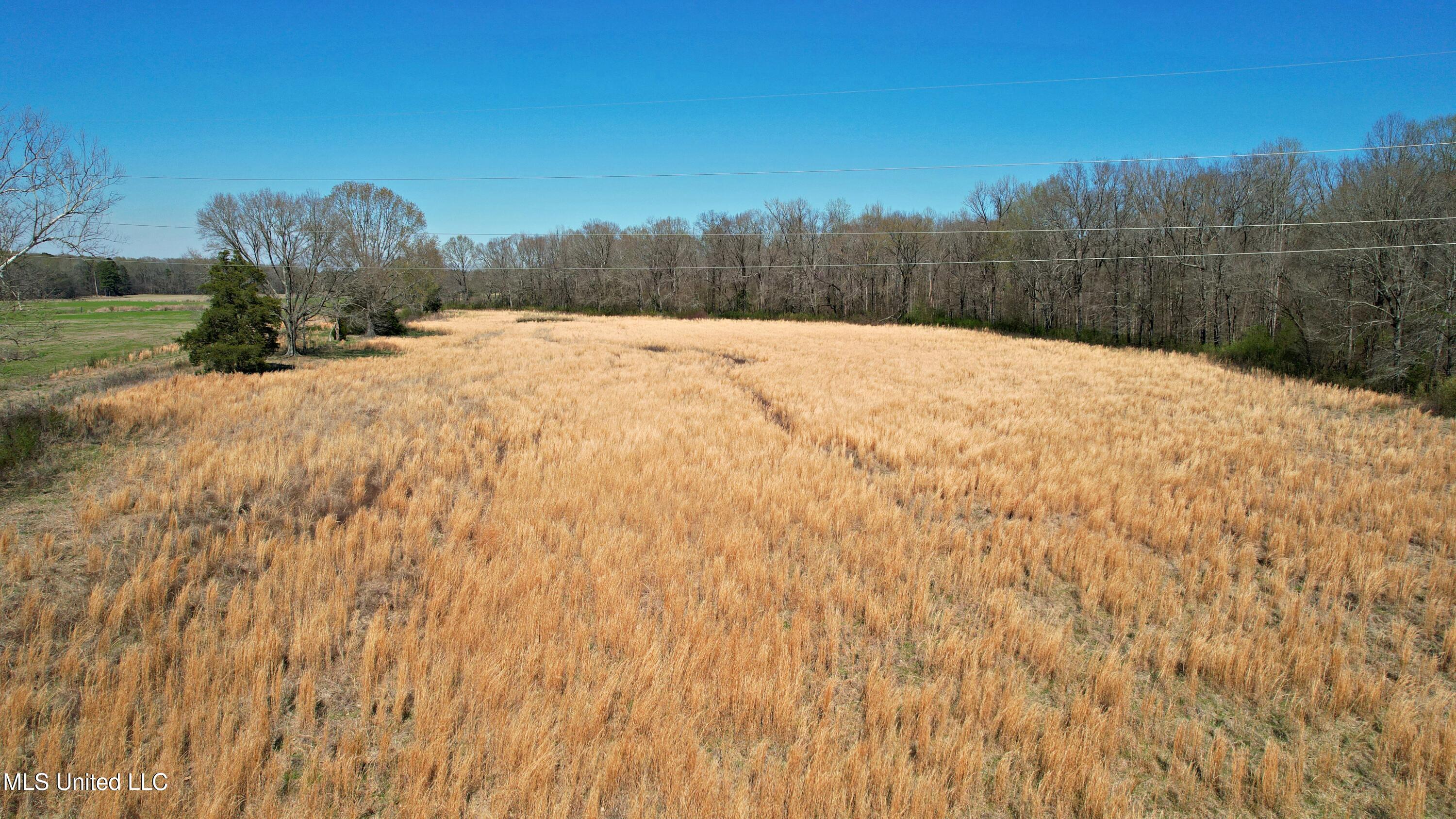 Highway 35, Kosciusko, Mississippi image 10