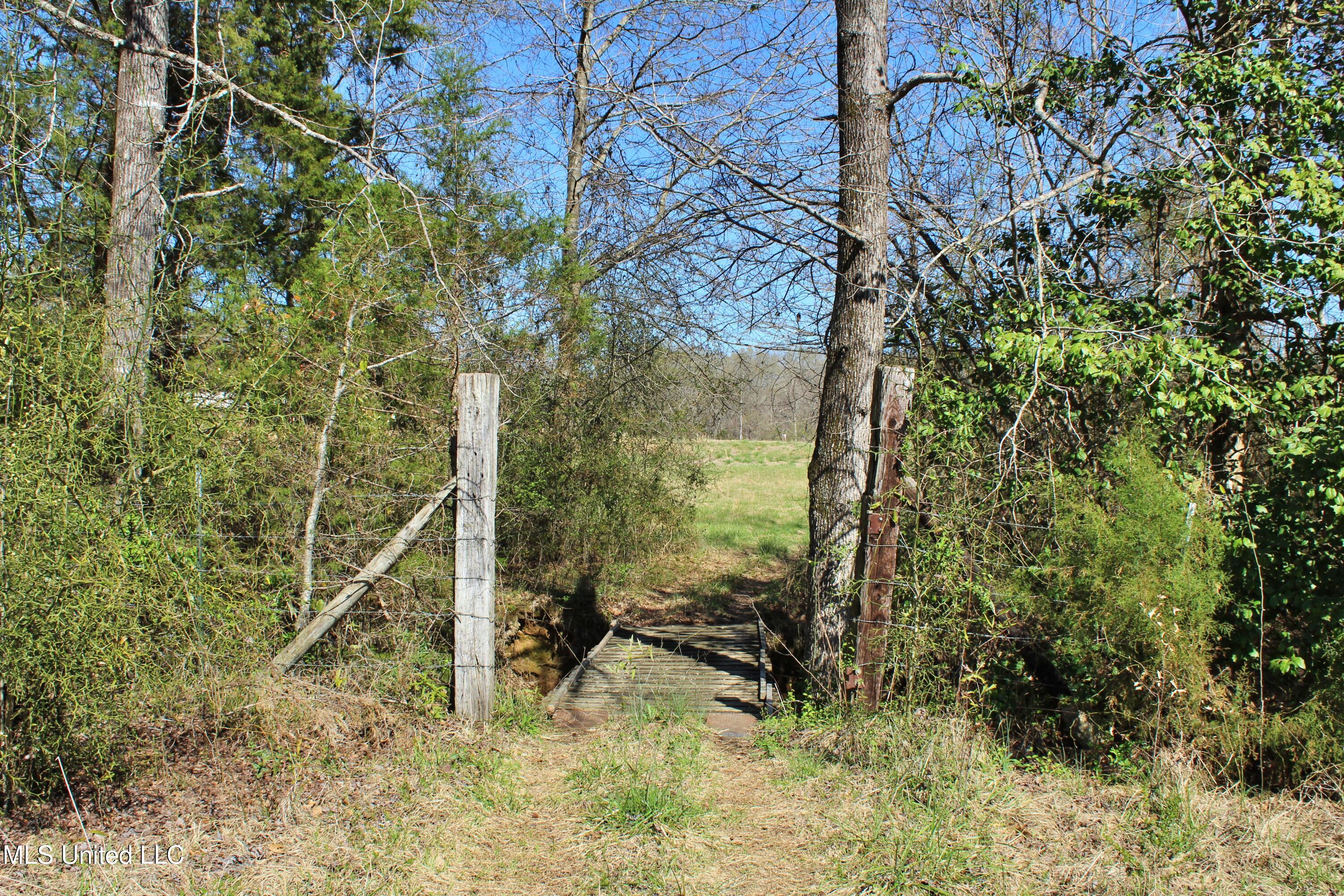 Highway 35, Kosciusko, Mississippi image 24