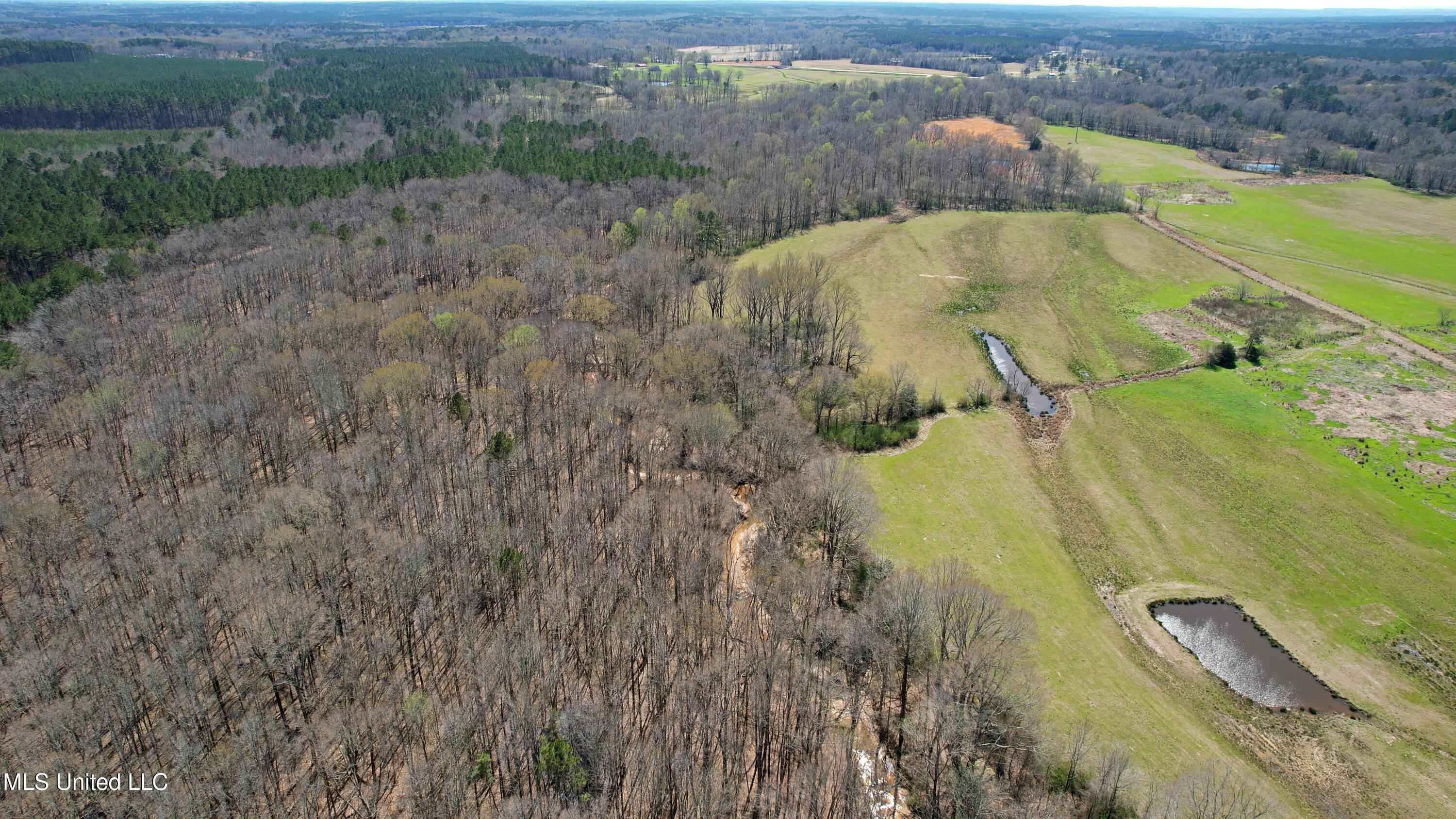 Highway 35, Kosciusko, Mississippi image 8