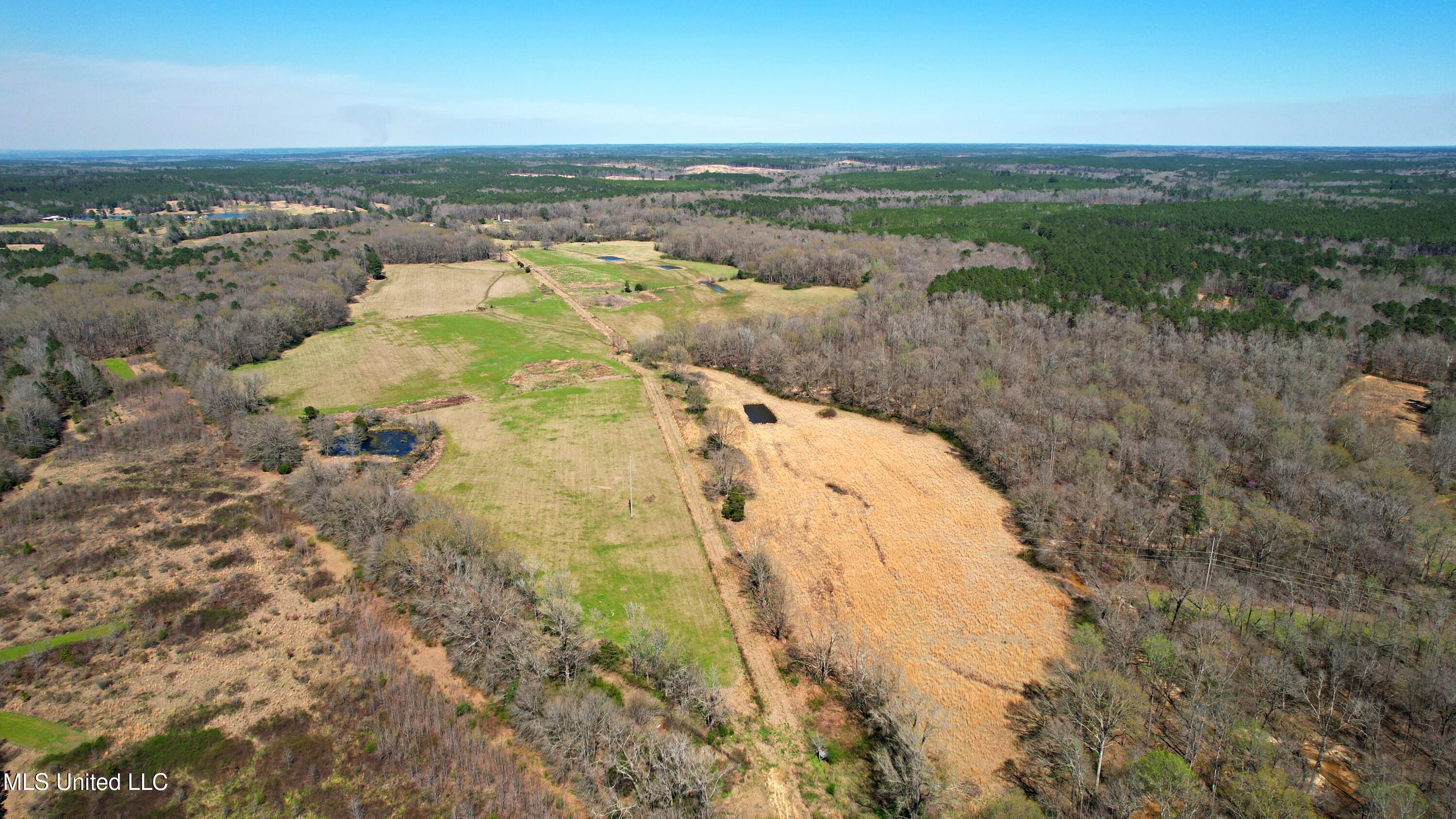 Highway 35, Kosciusko, Mississippi image 1